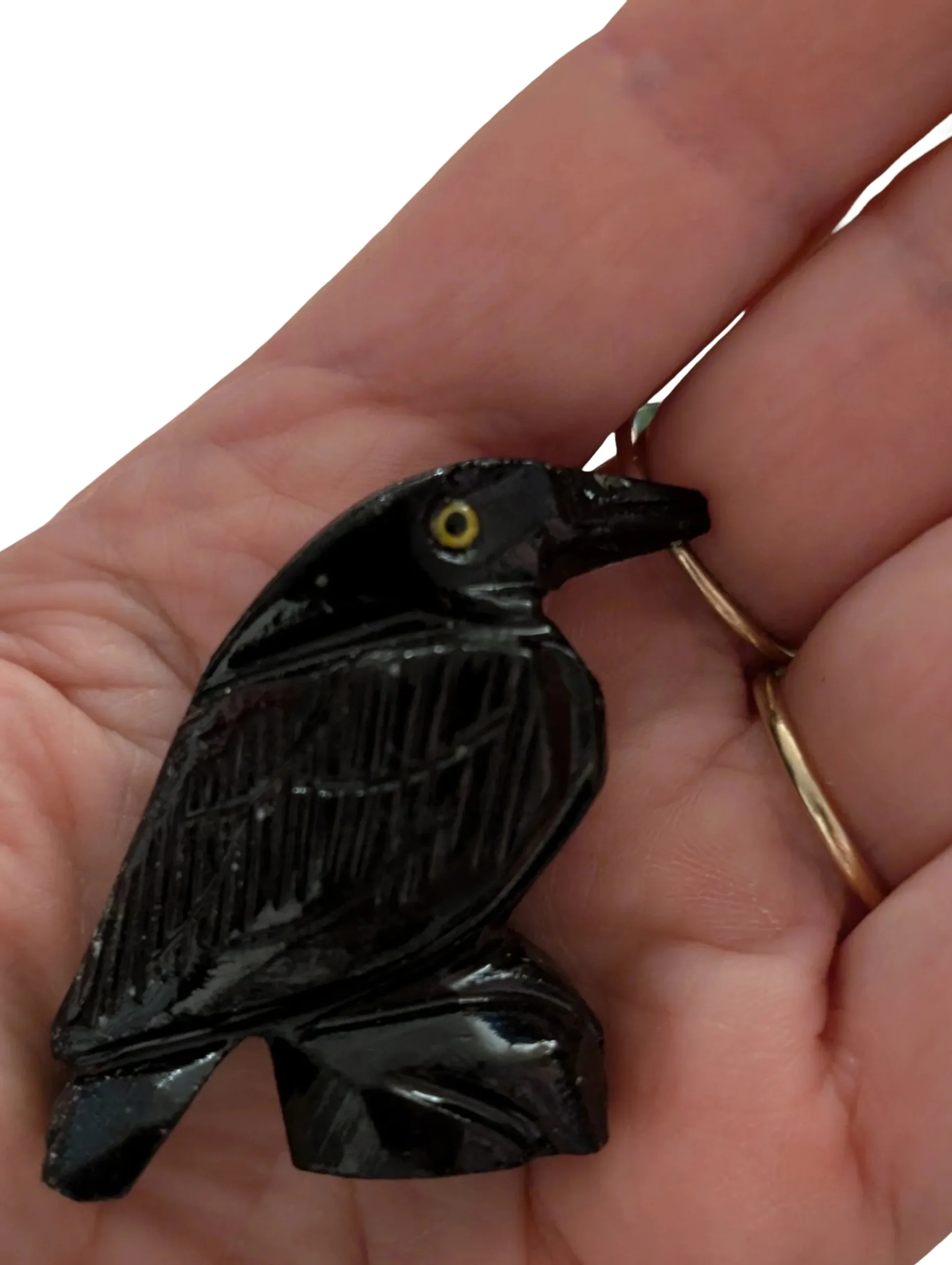 Studio-Project - 2026-02-13T143815.792.jpg