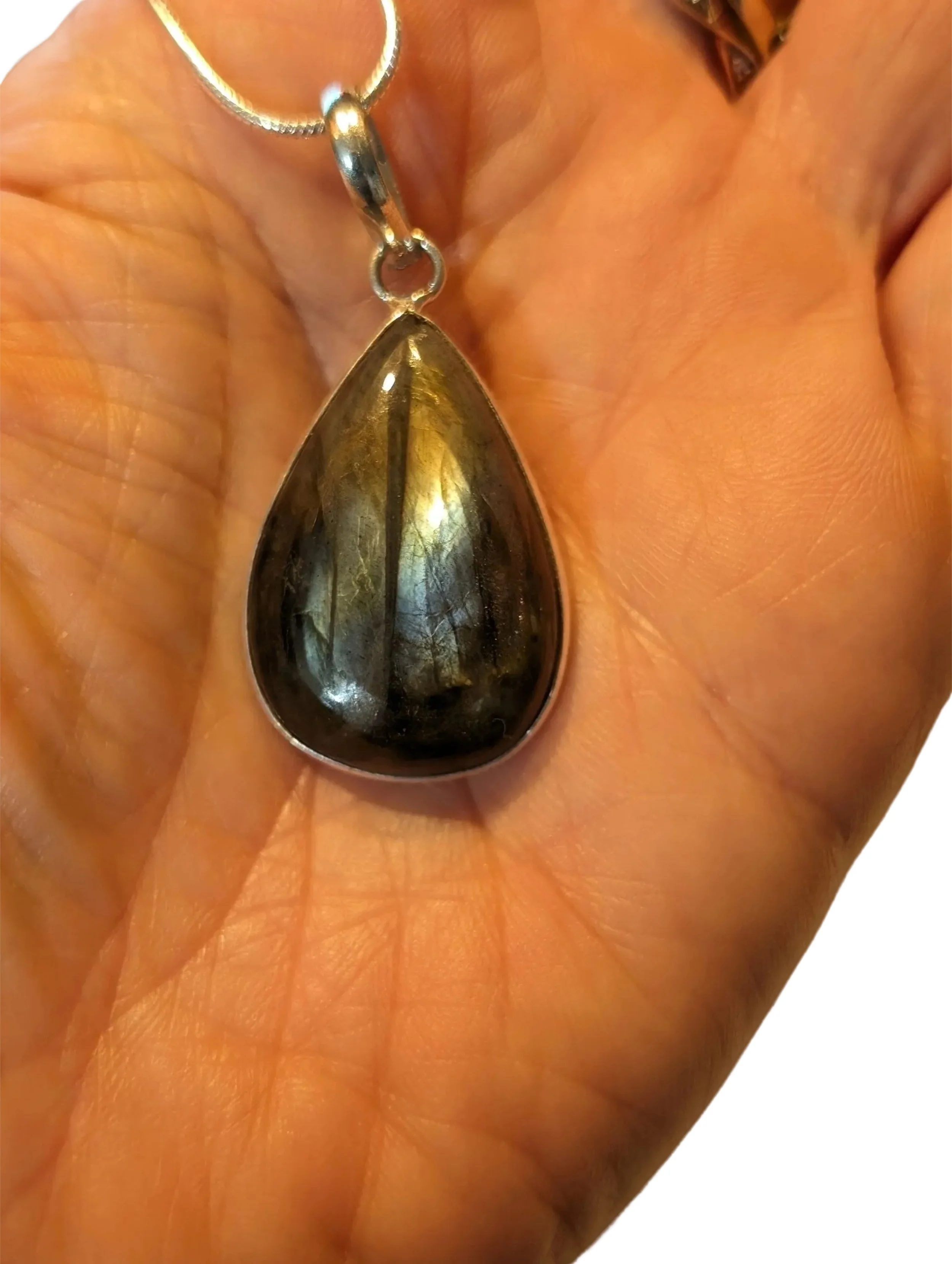 Studio-Project - 2026-01-20T150351.432.jpg