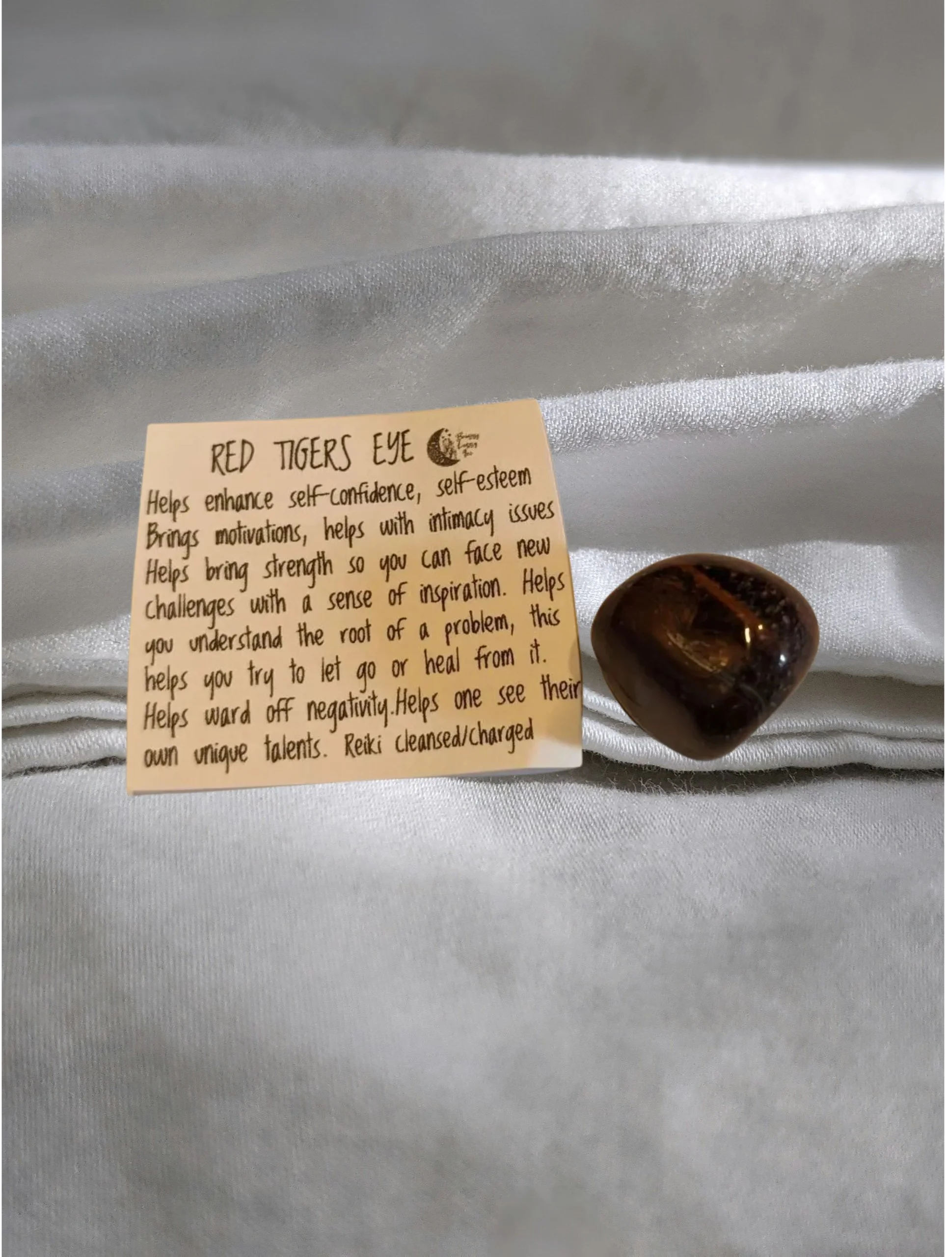 Studio-Project - 2026-01-05T150934.405.jpg