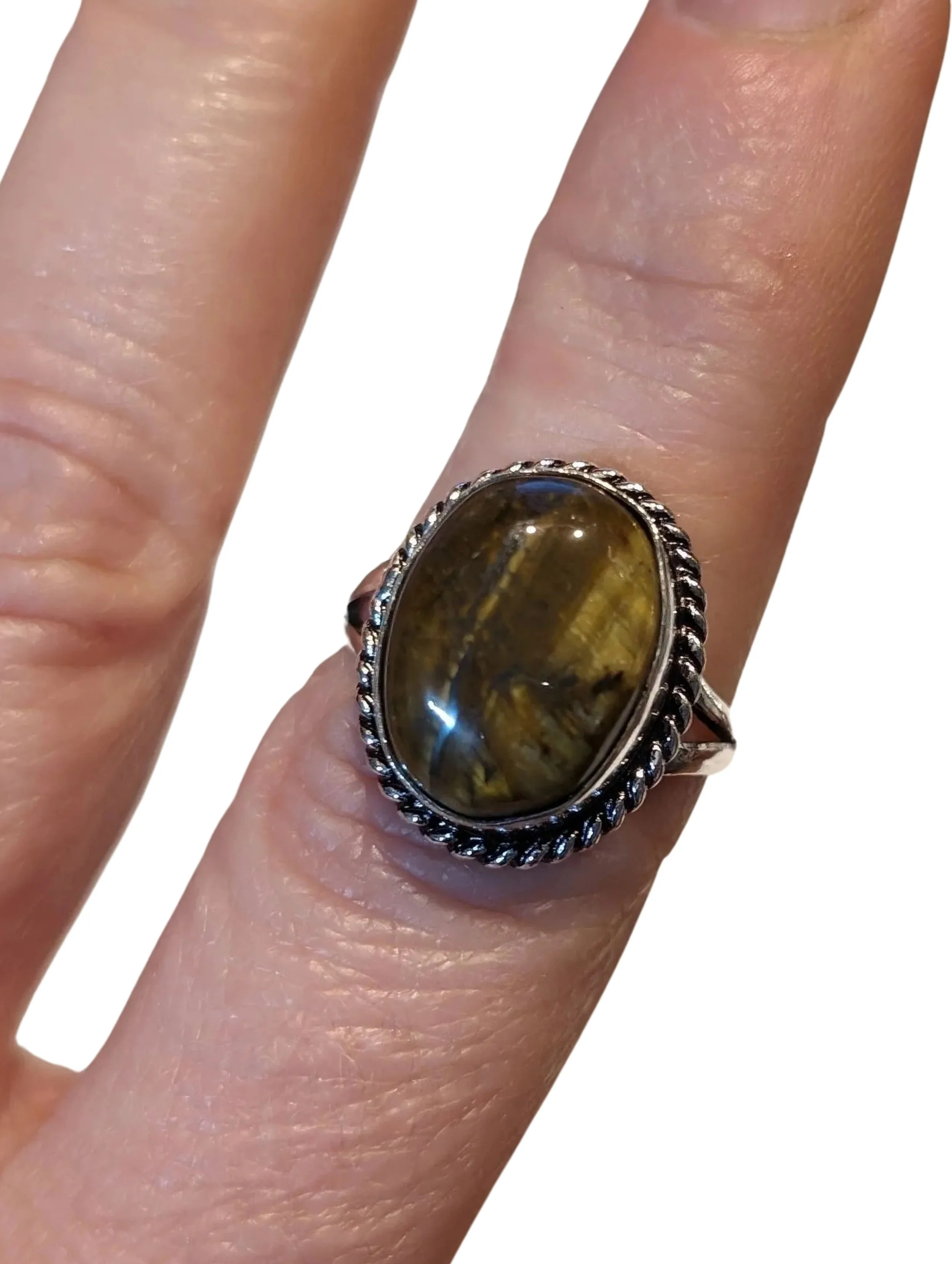 Studio-Project - 2026-02-01T140957.024.jpg