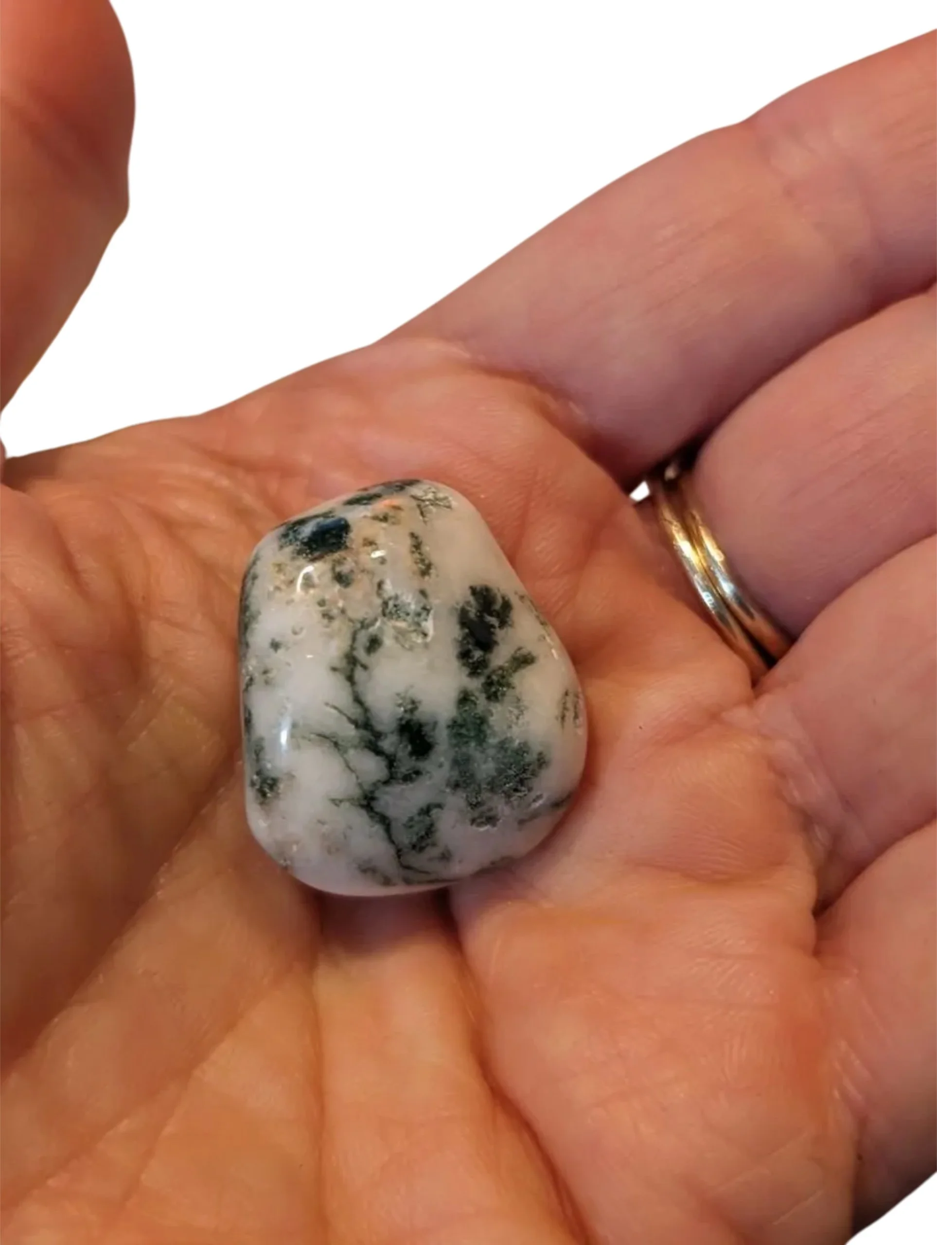 Studio-Project - 2025-12-10T111729.063.jpg