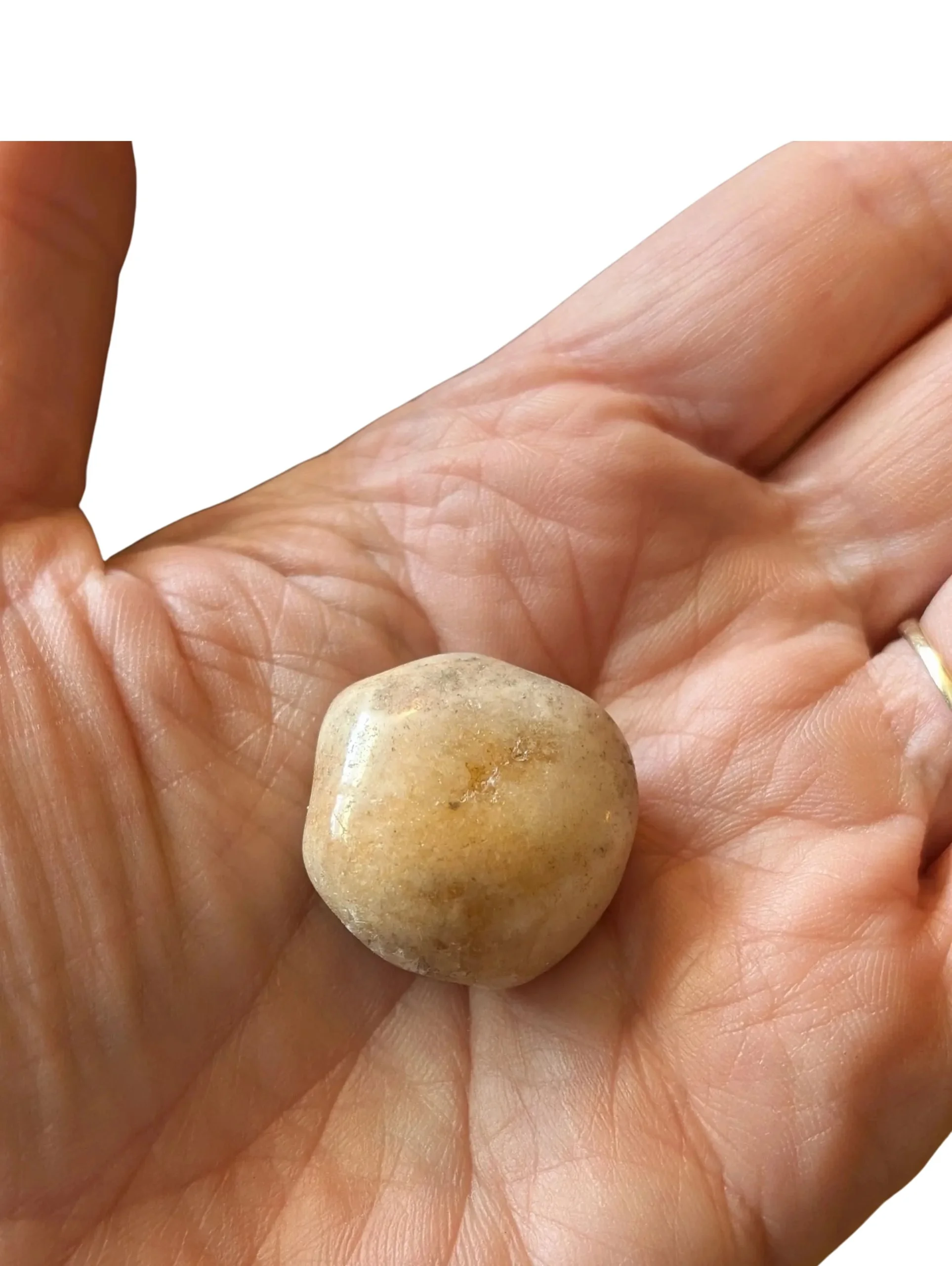 Studio-Project - 2025-12-07T115147.346.jpg