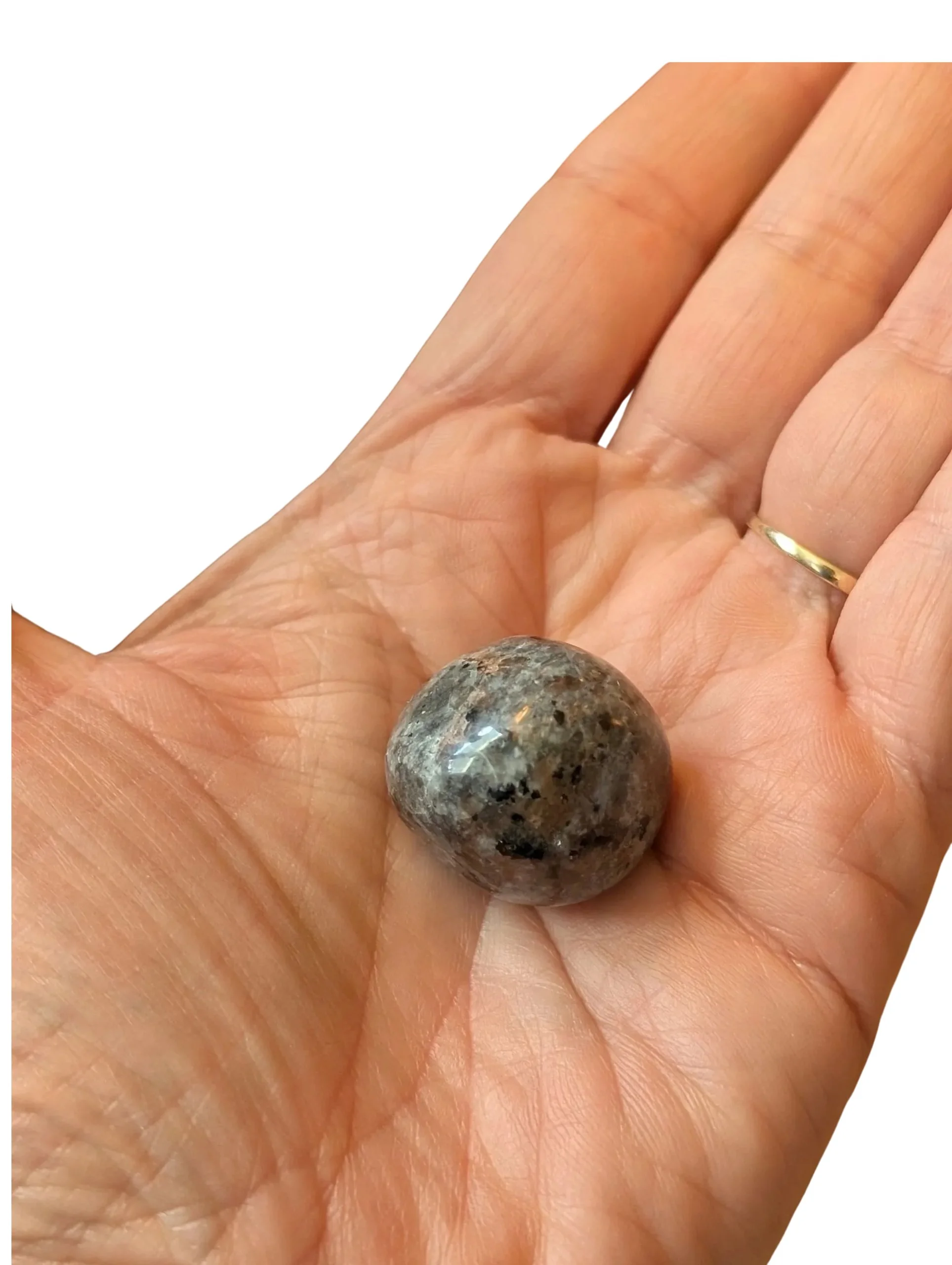 Studio-Project (97).jpg