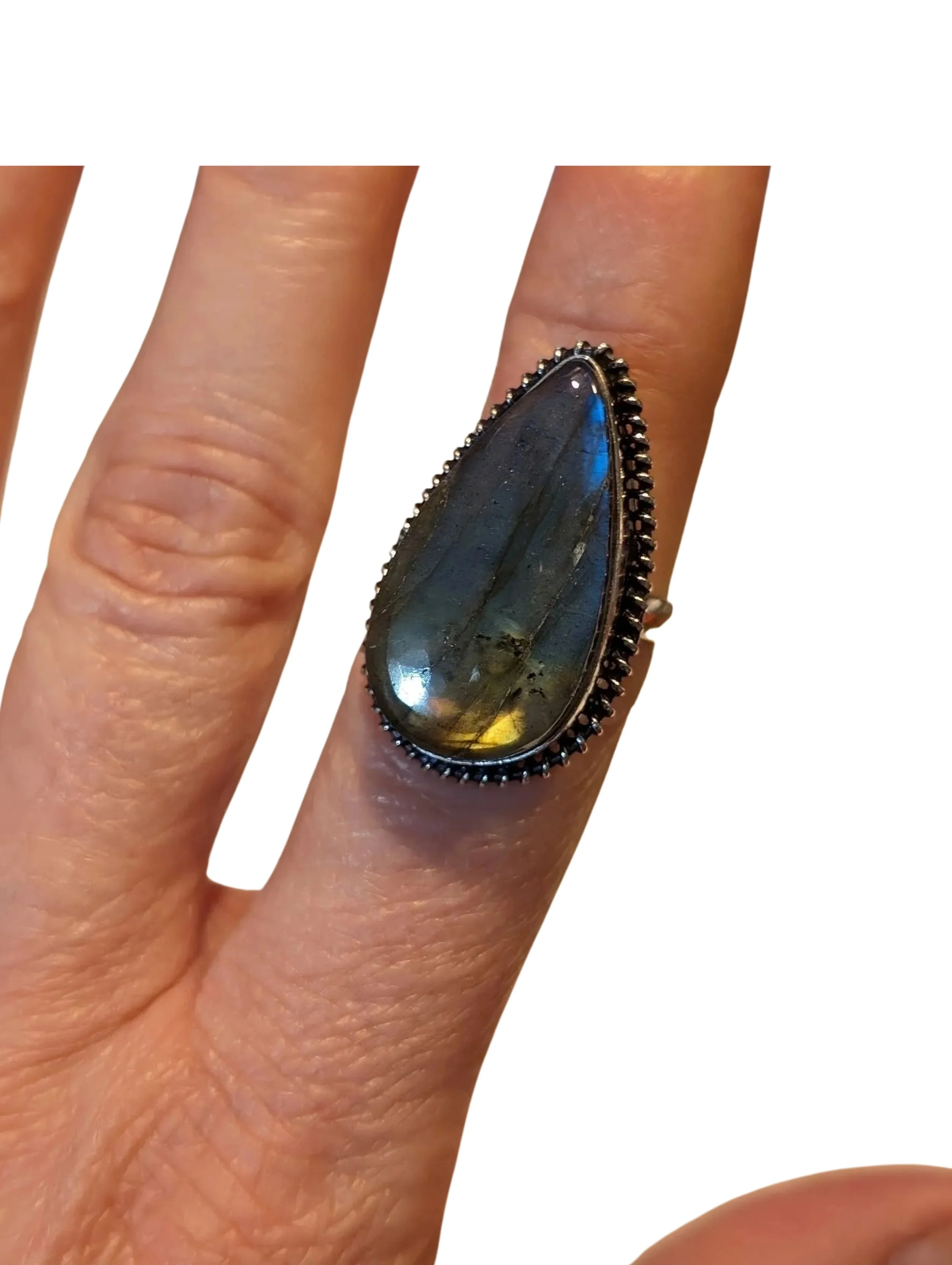 Studio-Project - 2026-02-01T054017.248.jpg