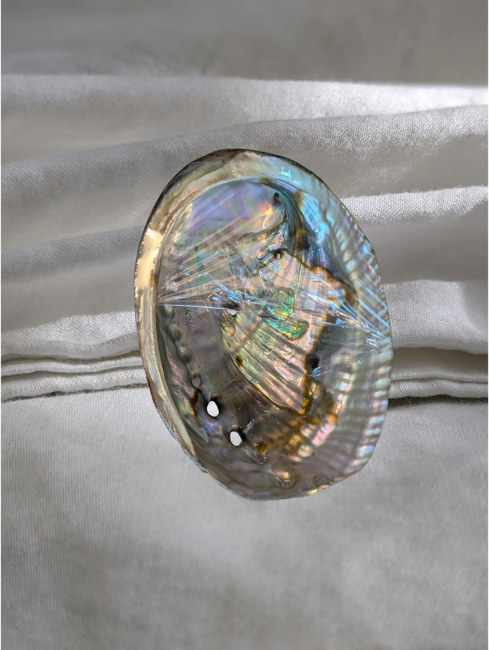 Studio-Project - 2026-01-08T150815.189.jpg