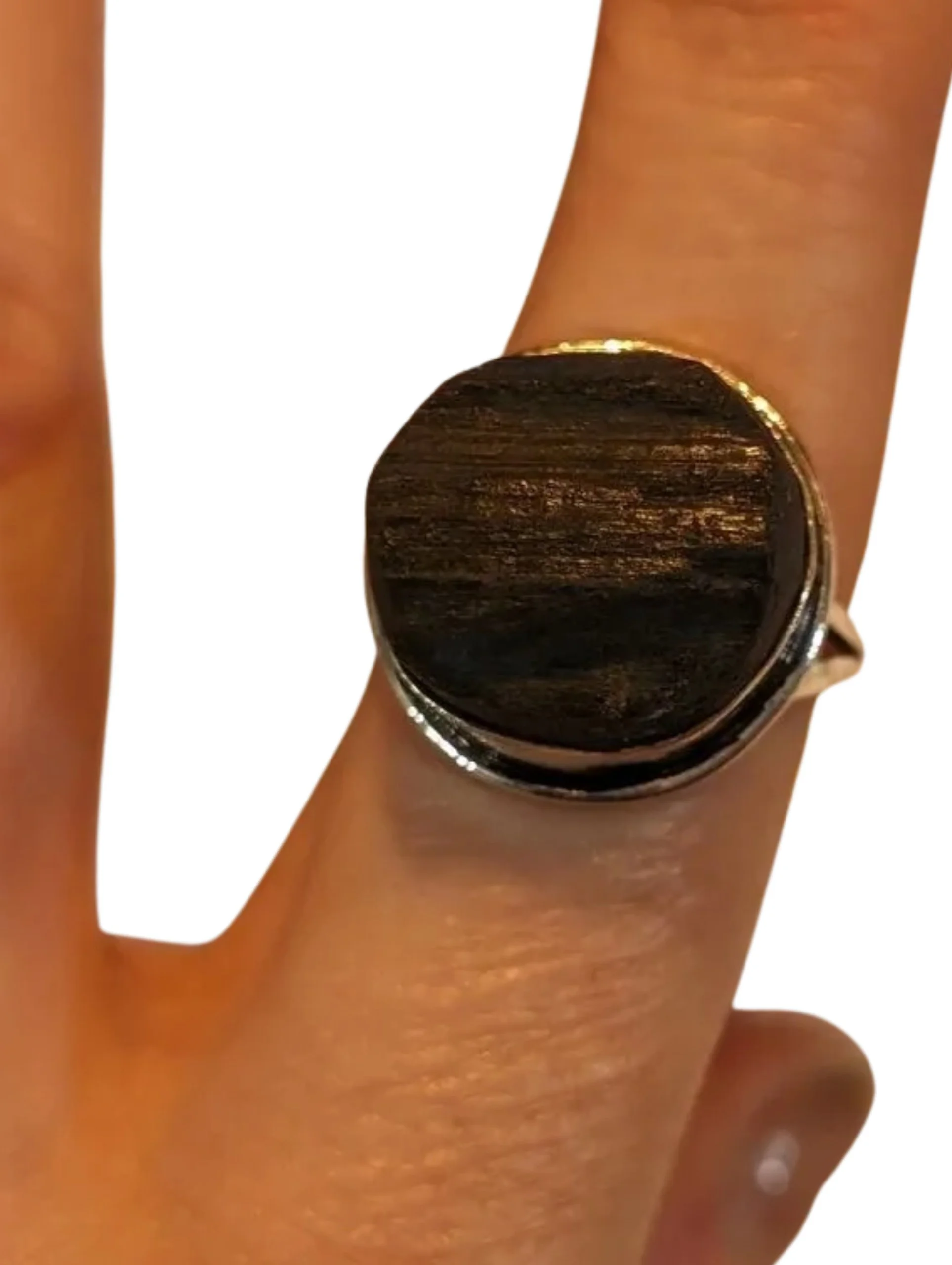 Studio-Project - 2026-02-01T145927.699.jpg