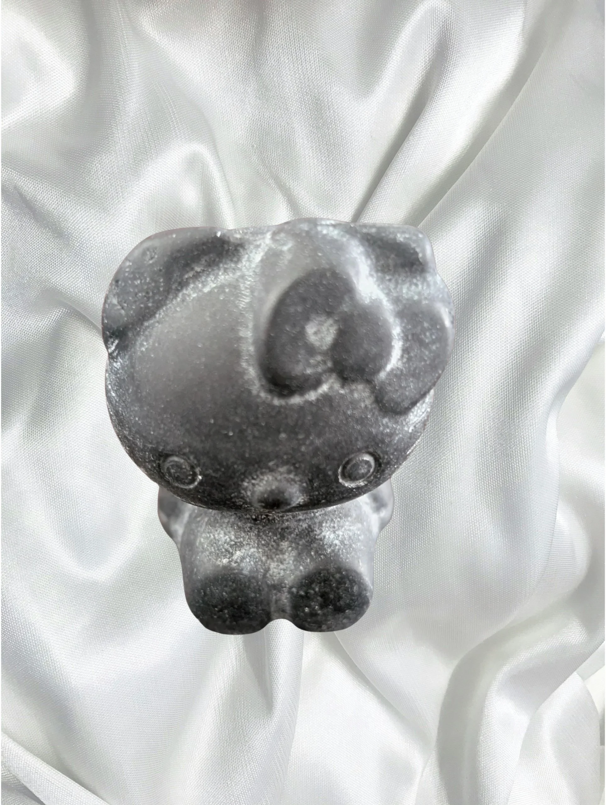 Studio-Project - 2026-02-07T151701.756.jpg