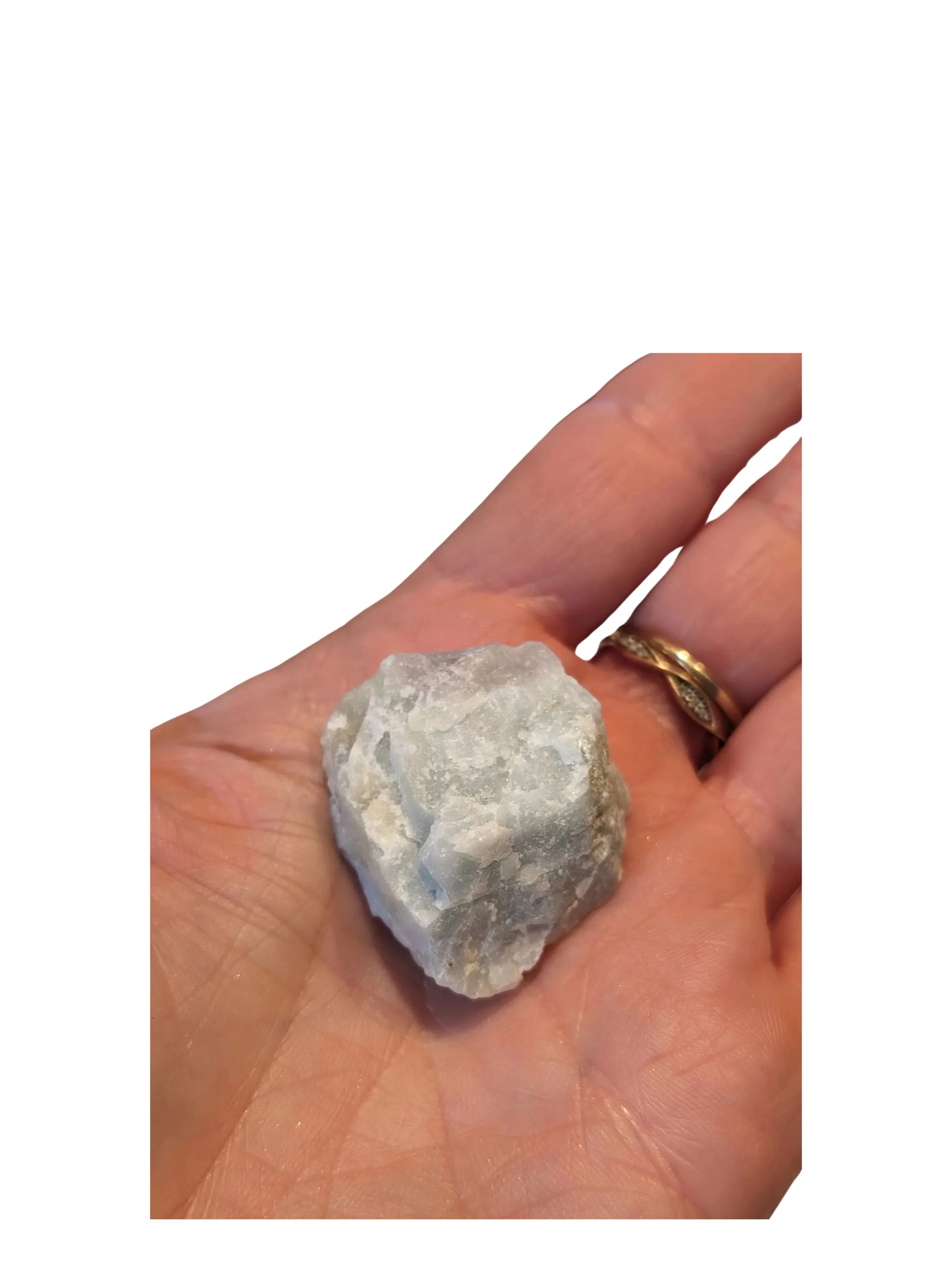 Studio-Project - 2026-01-06T080541.241.jpg