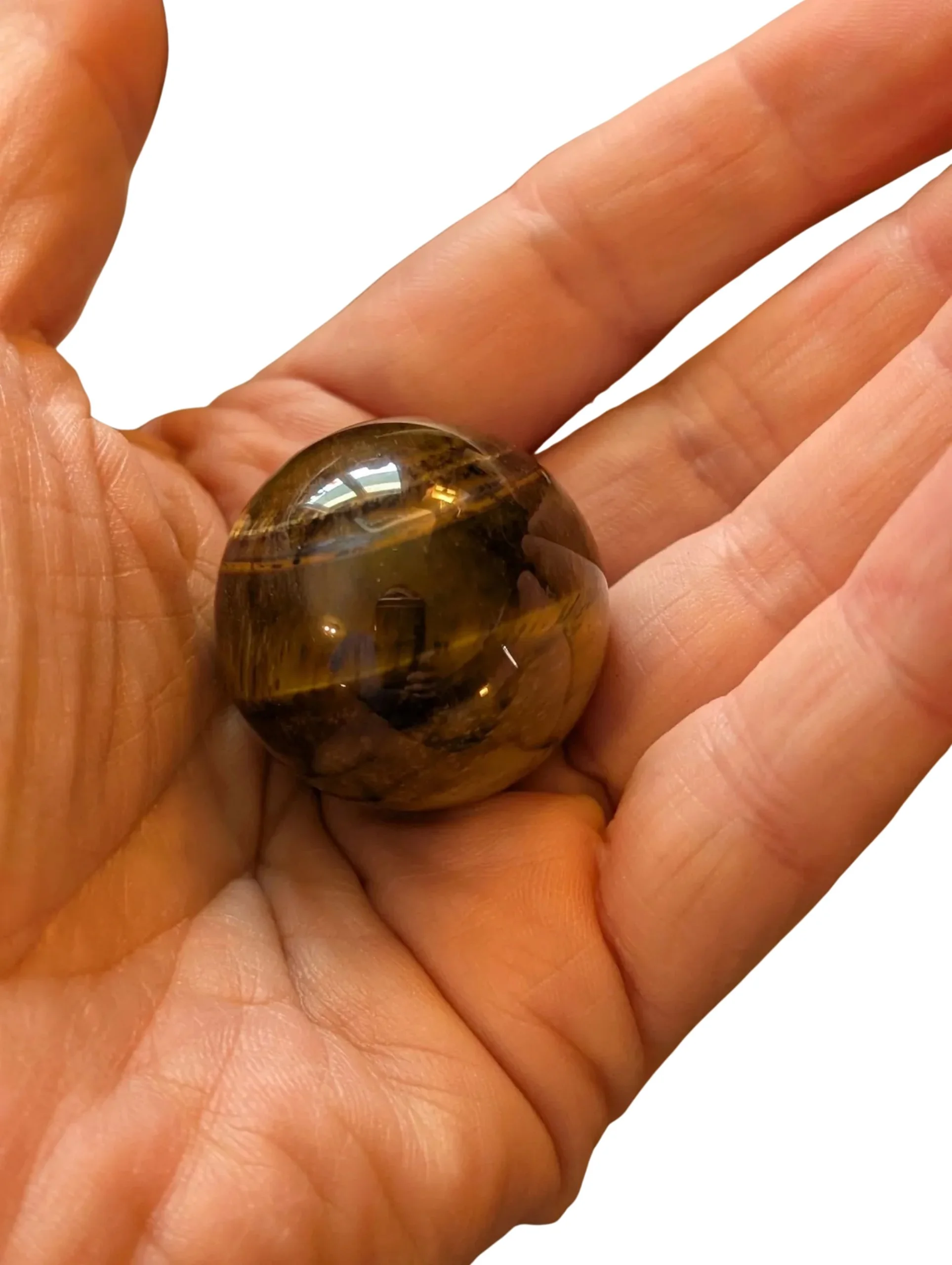 Studio-Project - 2026-01-12T134451.491.jpg (Copy)