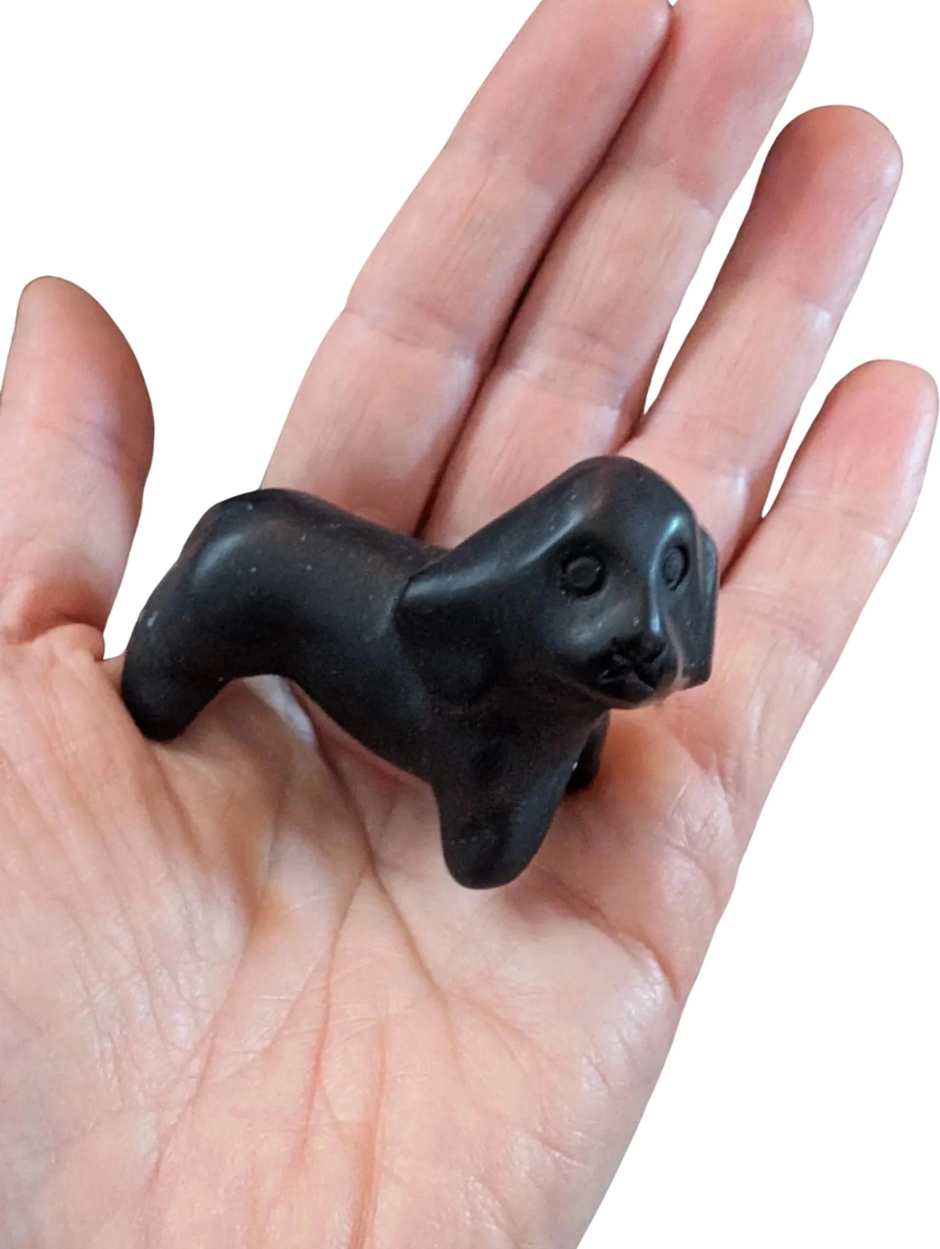 Studio-Project - 2026-01-12T143424.272.jpg