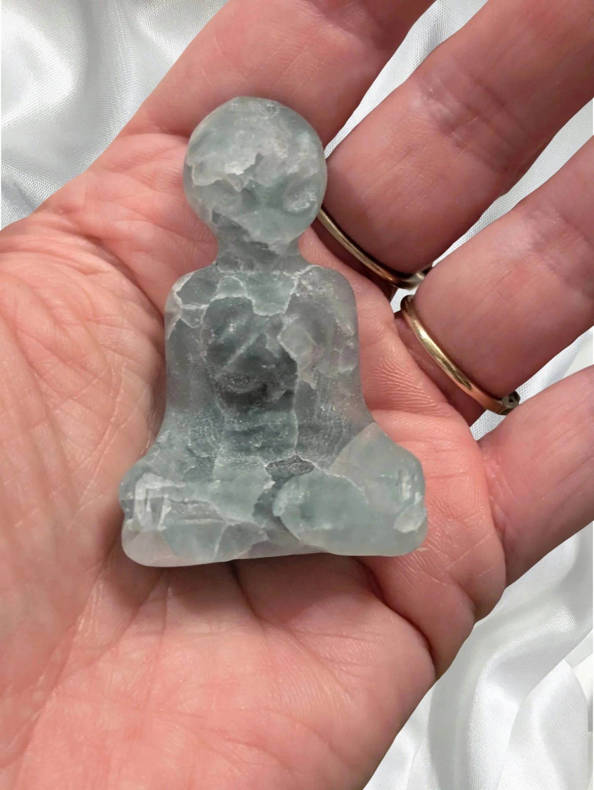 Studio-Project - 2026-02-14T100012.295.jpg