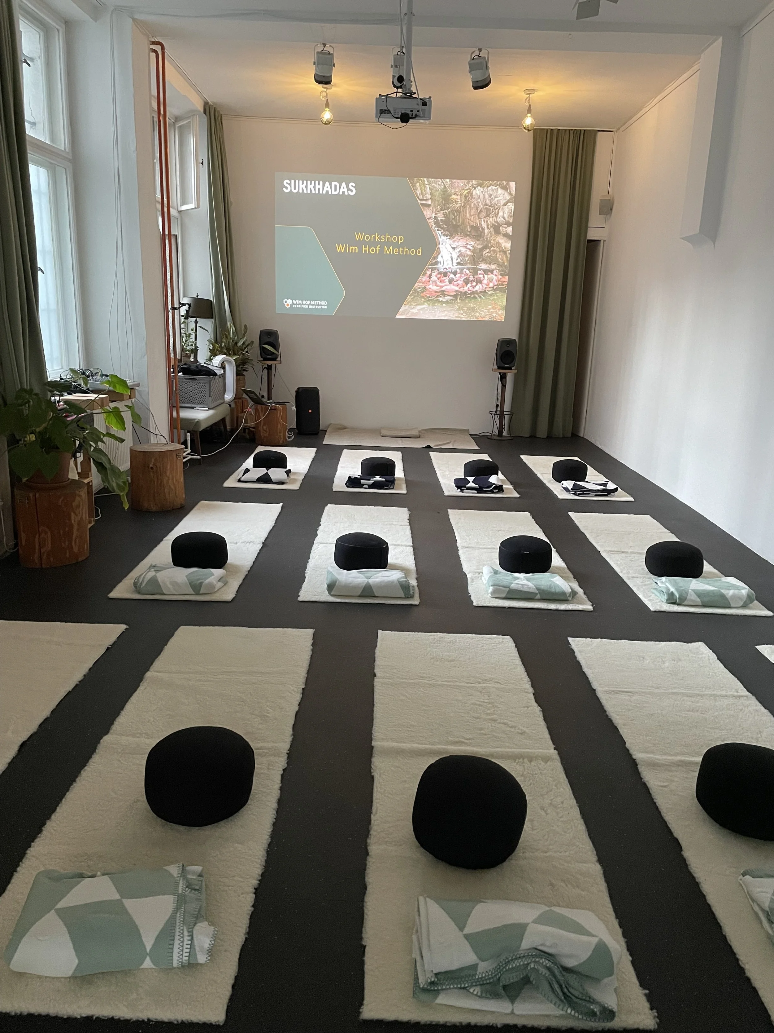 Ein Raum vorbereitet für eine Meditation oder einen Yoga-Kurs mit gepolsterten Matten, Kissen und Decken auf Teppichböden, ein projizierter Bildschirm an der Wand zeigt eine Präsentation über einen Workshop, Fenster mit grünen Vorhängen, Pflanzen und