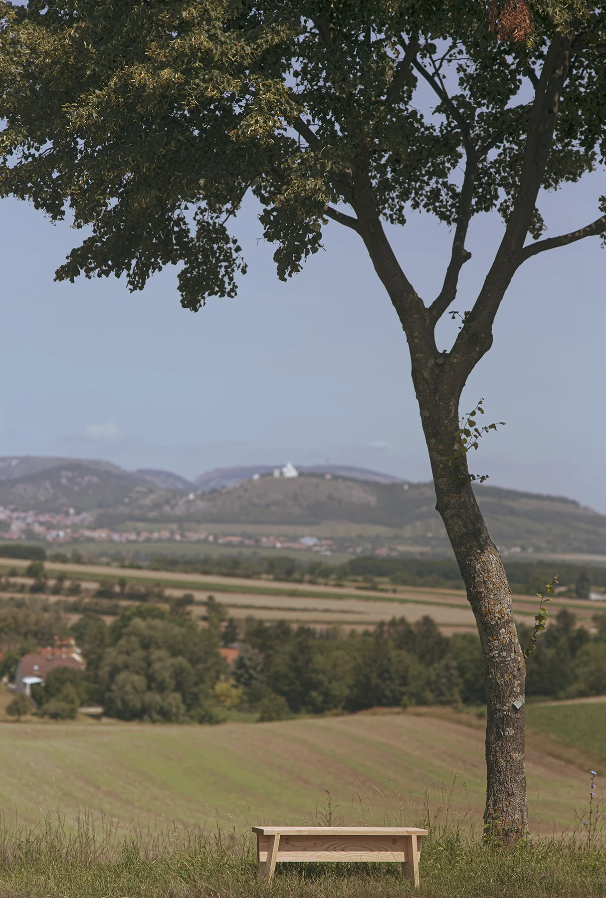 Dřevěná lavička ŠTOK od Egoé pod stromem s výhledem na kopcovitou krajinu, venkovní lifestyle fotografie.