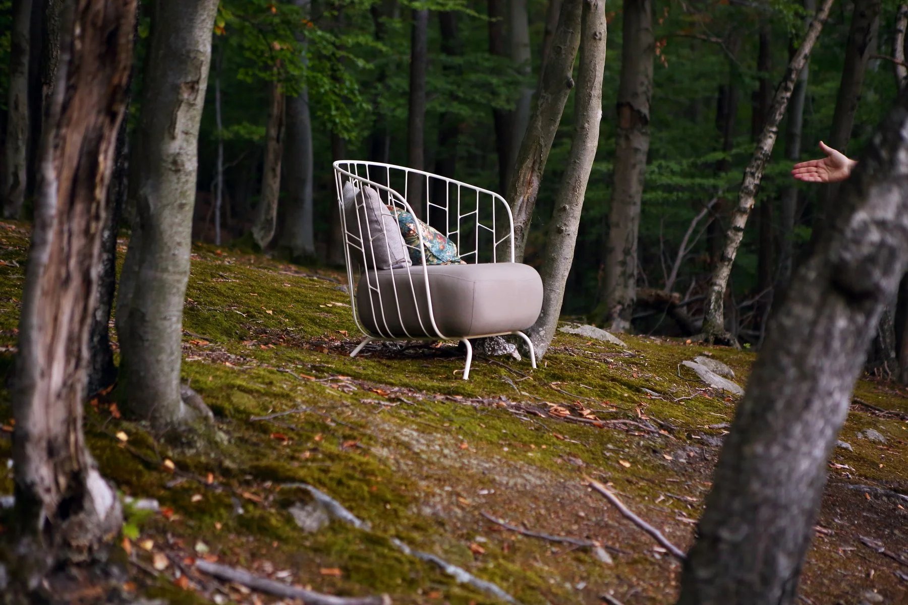 Designové křeslo umístěné v lese na svahu mezi stromy, v přírodním světle, produktová lifestyle fotografie.