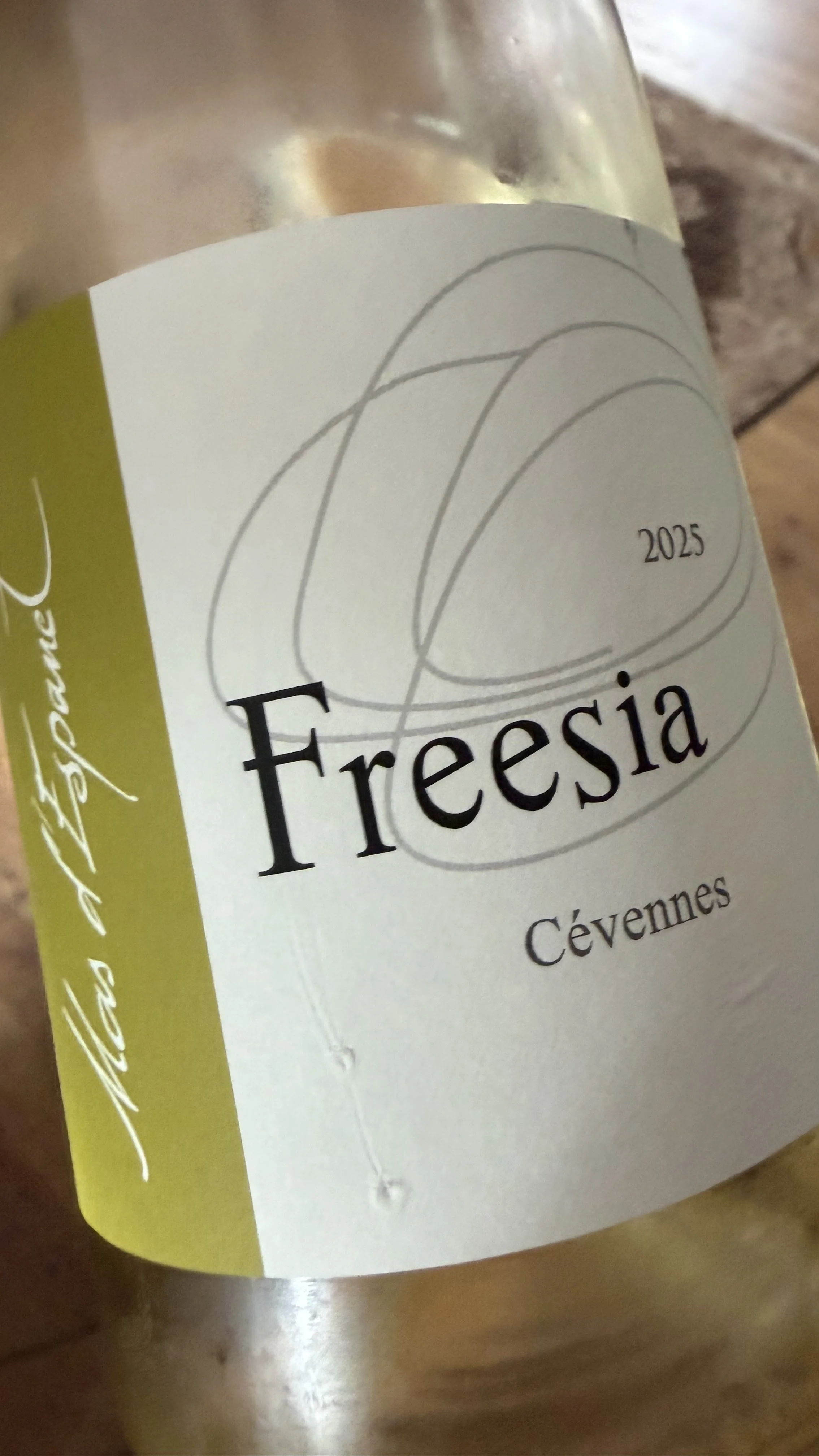Freesia Blanc 2025