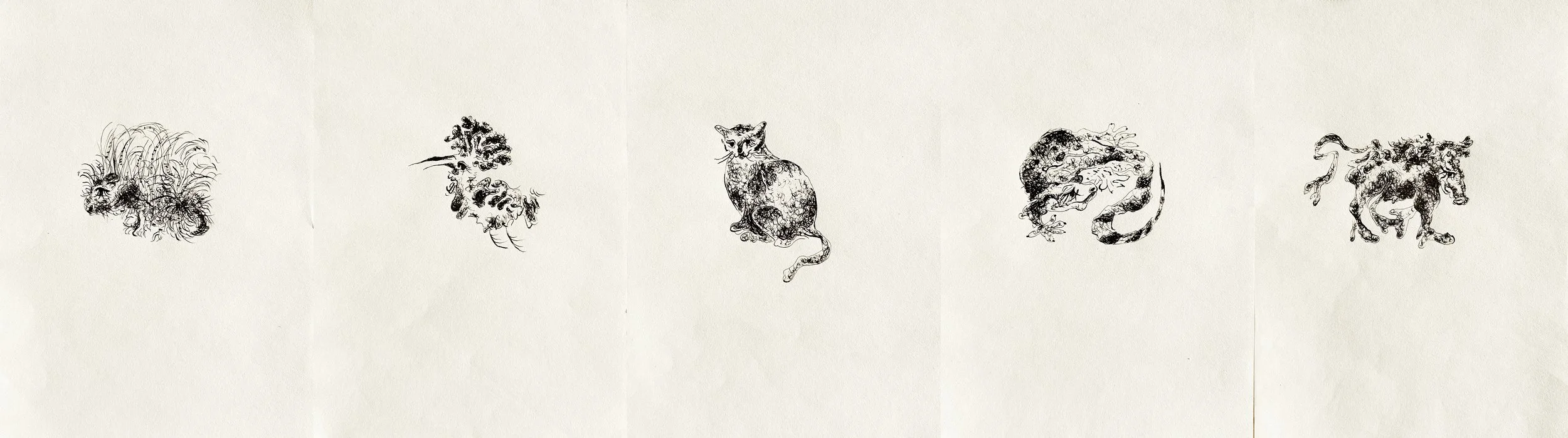 Haifa Bestiary ink drawing series by Keila Moizhesh