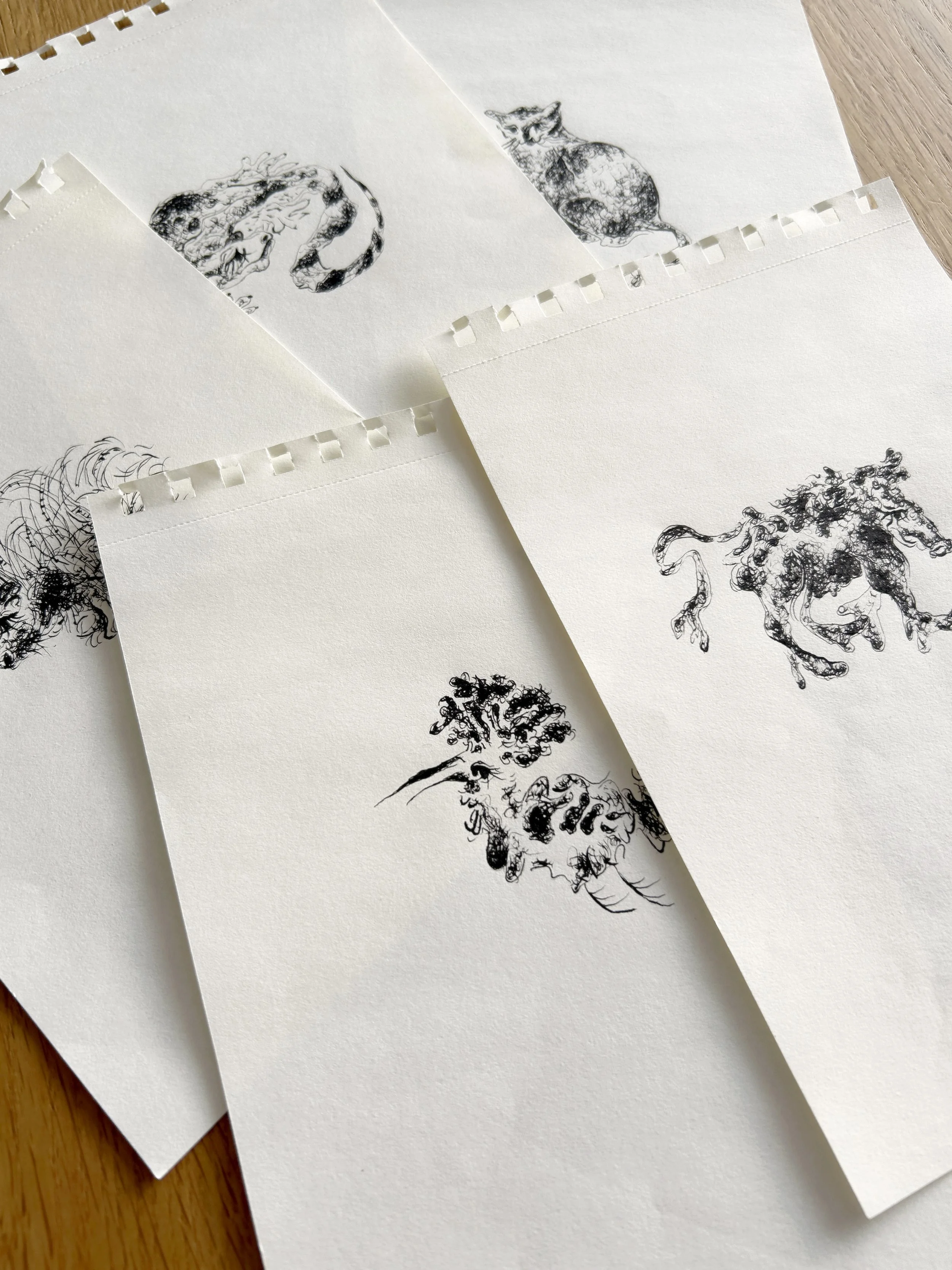 Four sheets of white paper with black ink animal sketches placed on a wooden surface. The sketches include a sitting fox, a running dog or wolf, and a curled-up cat.