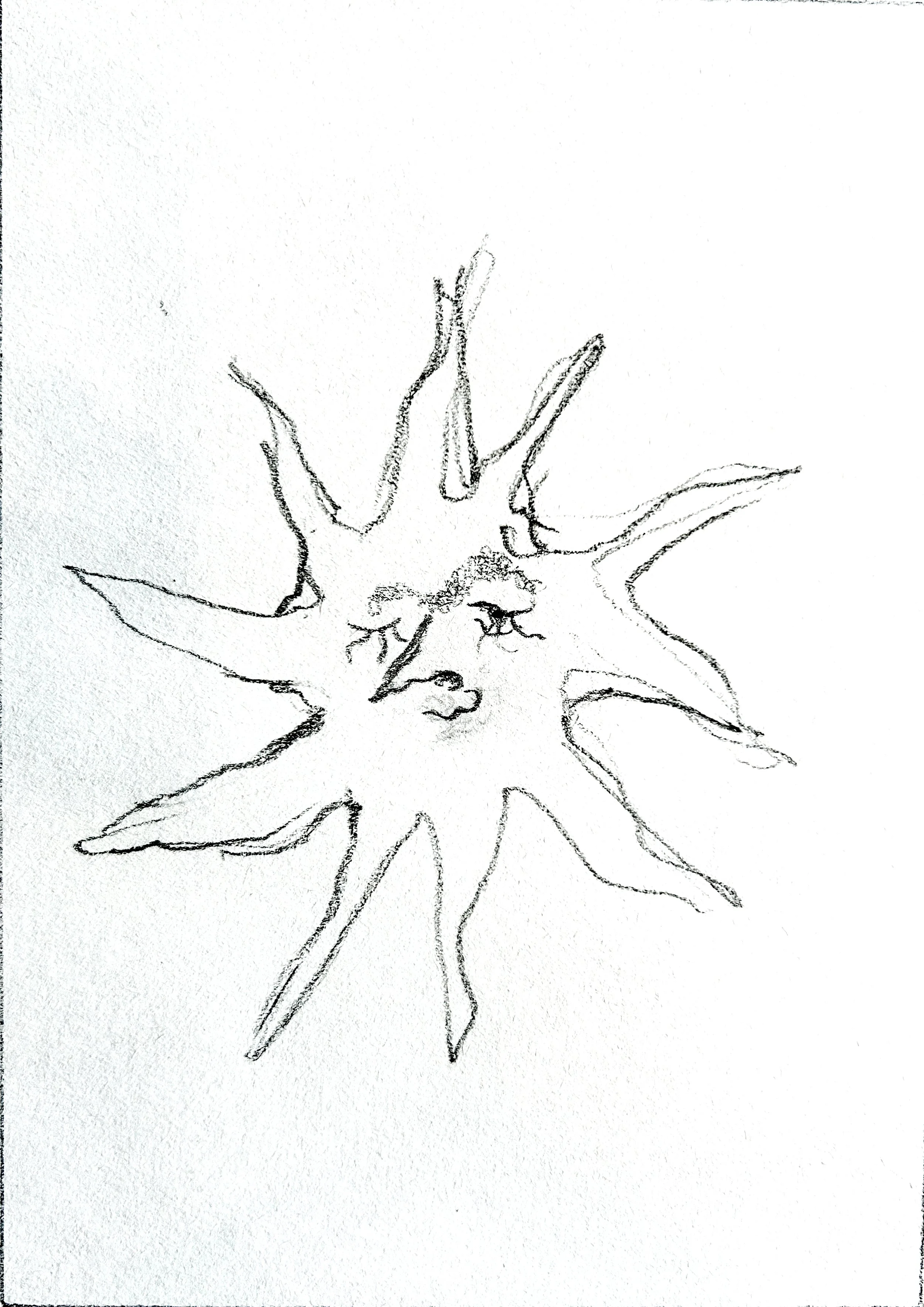 Congrats! series moments by Keila Moizhesh