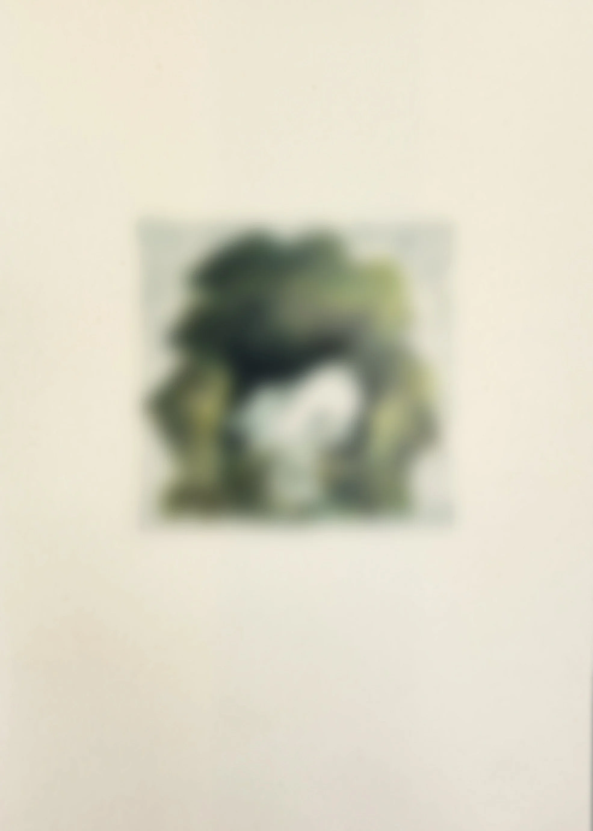  
 SHTETLE VI.7 
 SOON   2025 
 Monotype 
 Wax pastel on paper 
 21 × 14.8 cm  |  8.3 × 5.8 in 
 Edition 
 		