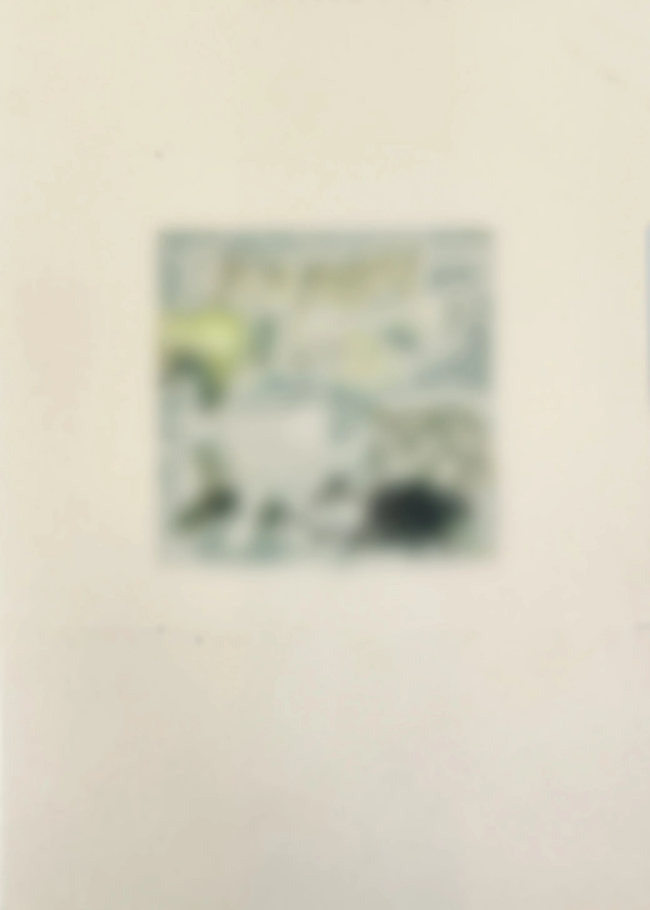  
 SHTETLE VI.6 
 SOON   2025 
 Monotype 
 Wax pastel on paper 
 21 × 14.8 cm  |  8.3 × 5.8 in 
 Edition 
 		