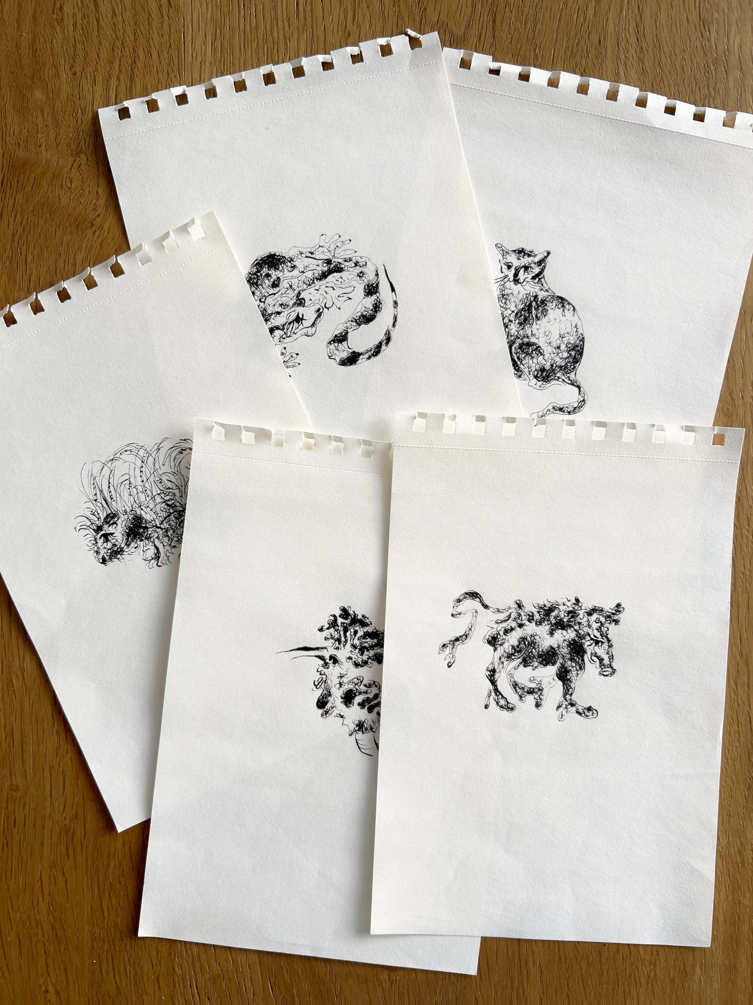Haifa Bestiary ink series by Keila Moizhesh in natural view
