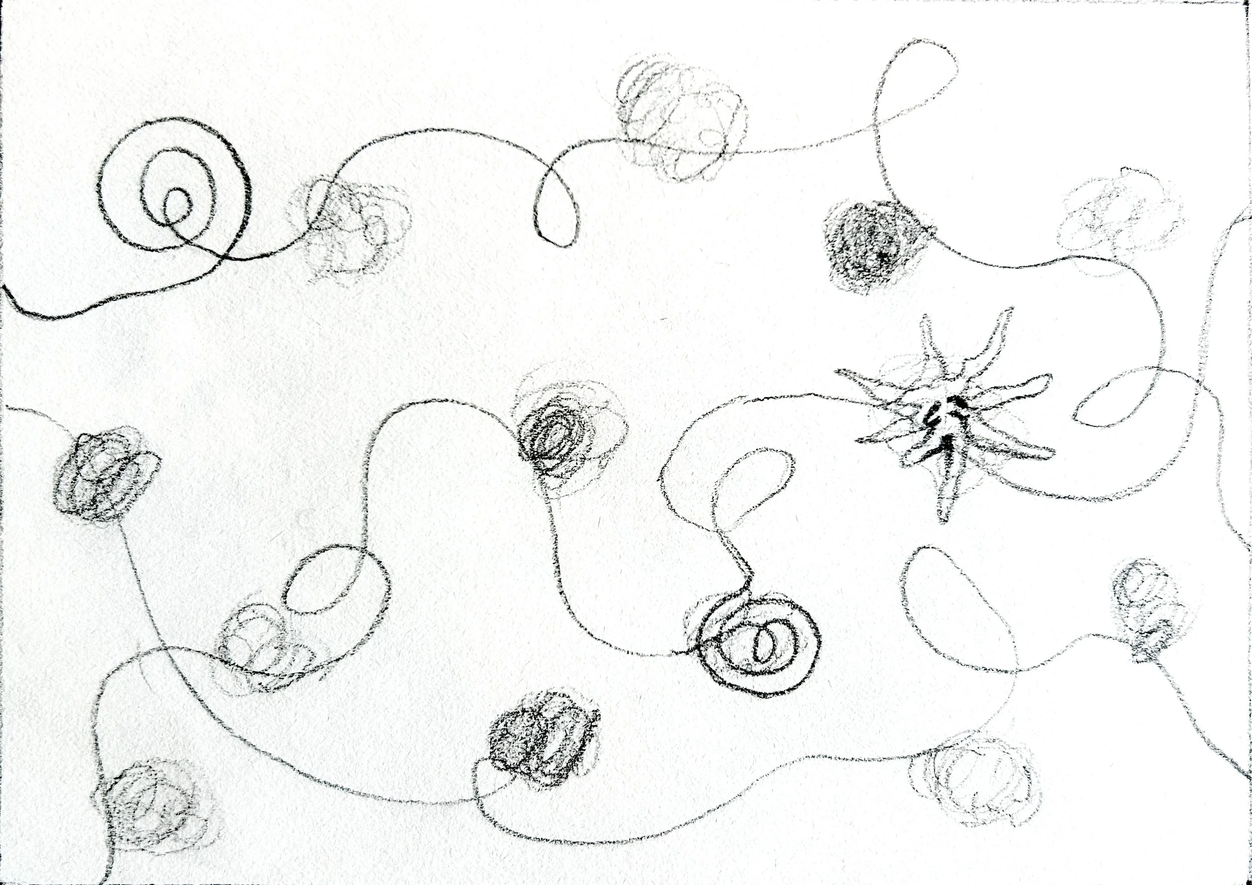 Congrats! series moments by Keila Moizhesh