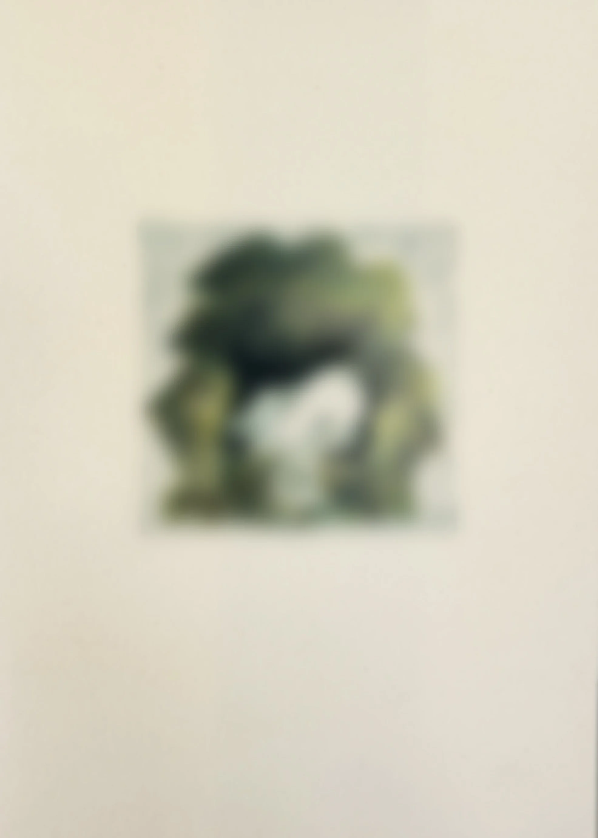  
 SHTETLE VI.7 
 SOON 
 2025 
 Monotype 
 Wax pastel on paper 
 21 × 14.8 cm  |  8.3 × 5.8 in 
 Edition 
 		