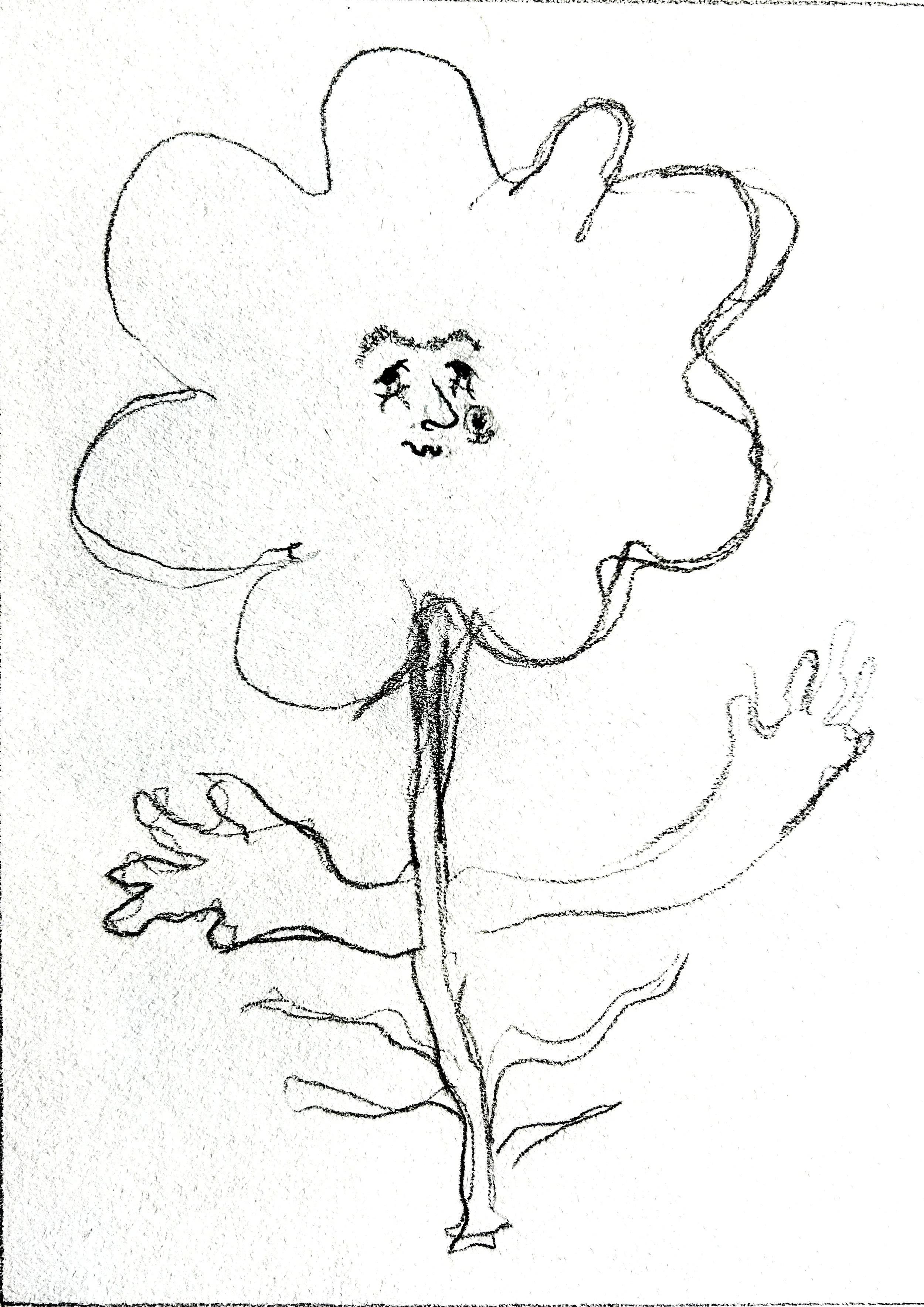 Congrats! series moments by Keila Moizhesh