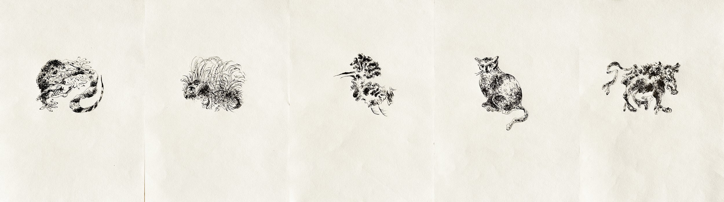 Haifa Bestiary ink drawing series by Keila Moizhesh