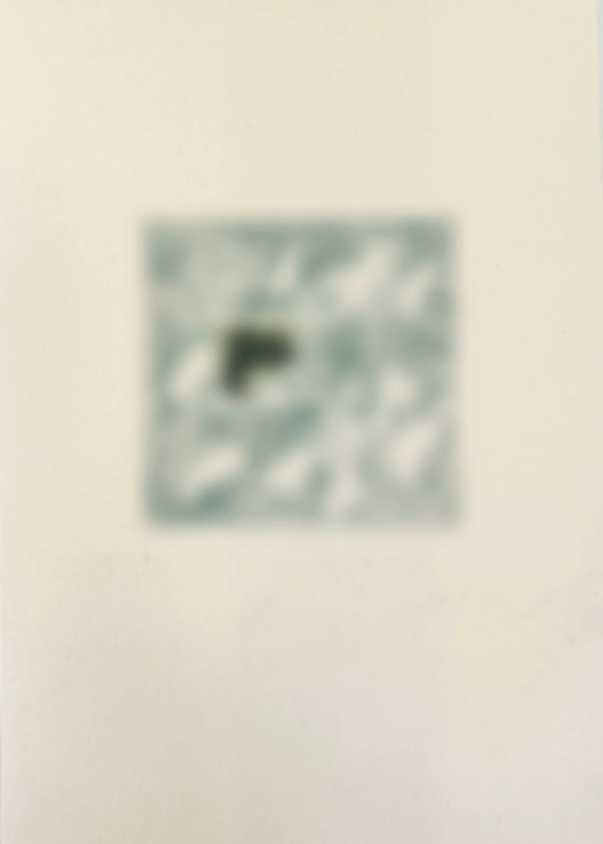  
 SHTETLE VI.4 
 SOON   2025 
 Monotype 
 Wax pastel on paper 
 21 × 14.8 cm  |  8.3 × 5.8 in 
 Edition 
 		