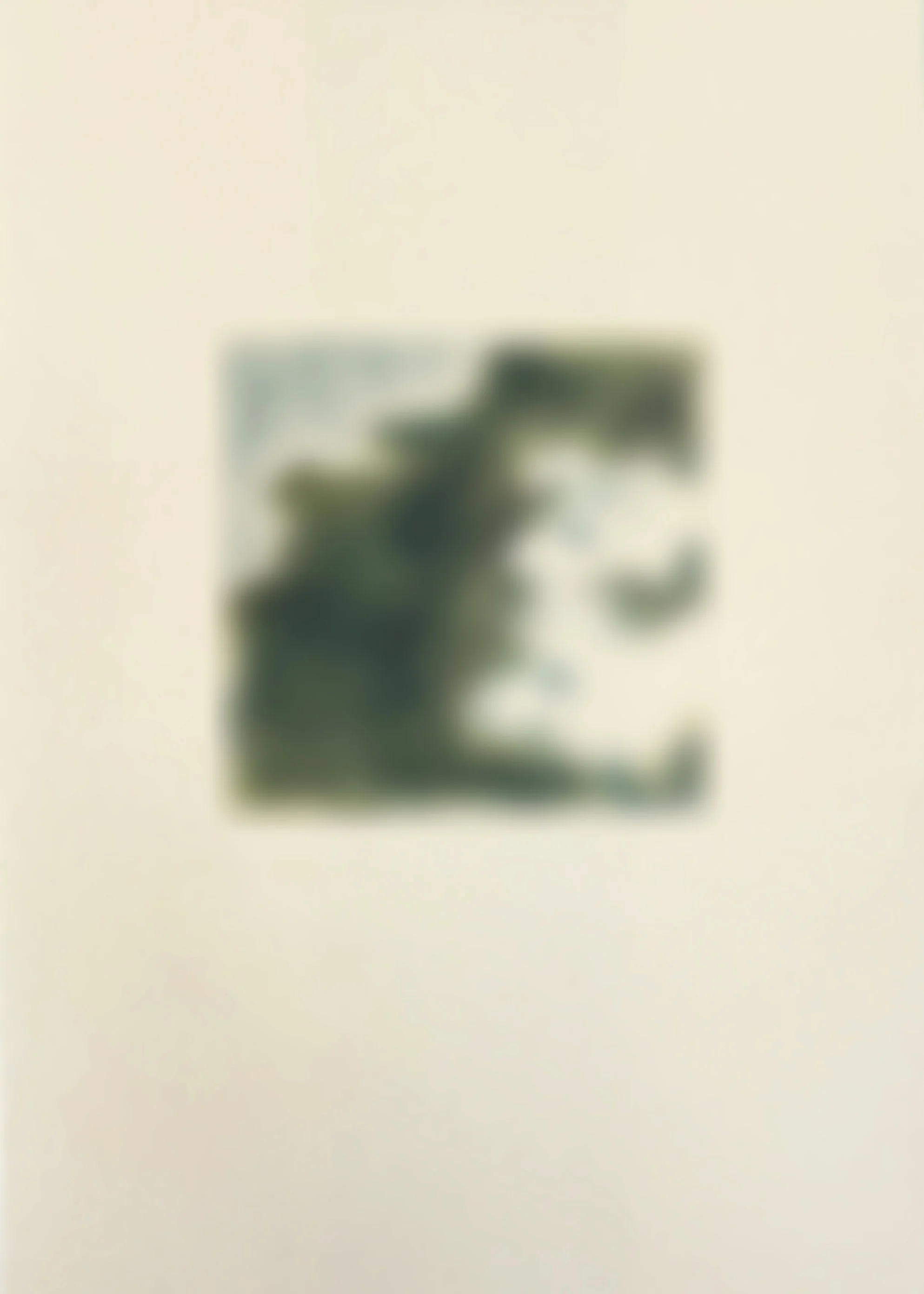  
 SHTETLE VI.5 
 SOON   2025 
 Monotype 
 Wax pastel on paper 
 21 × 14.8 cm  |  8.3 × 5.8 in 
 Edition 
 		