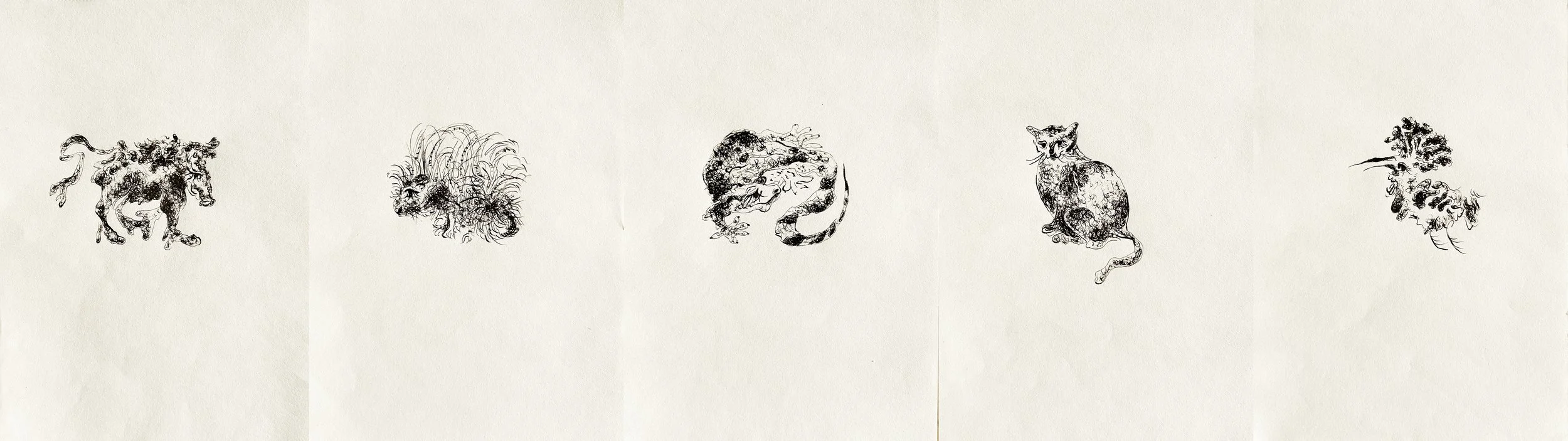 Haifa Bestiary ink drawing series by Keila Moizhesh