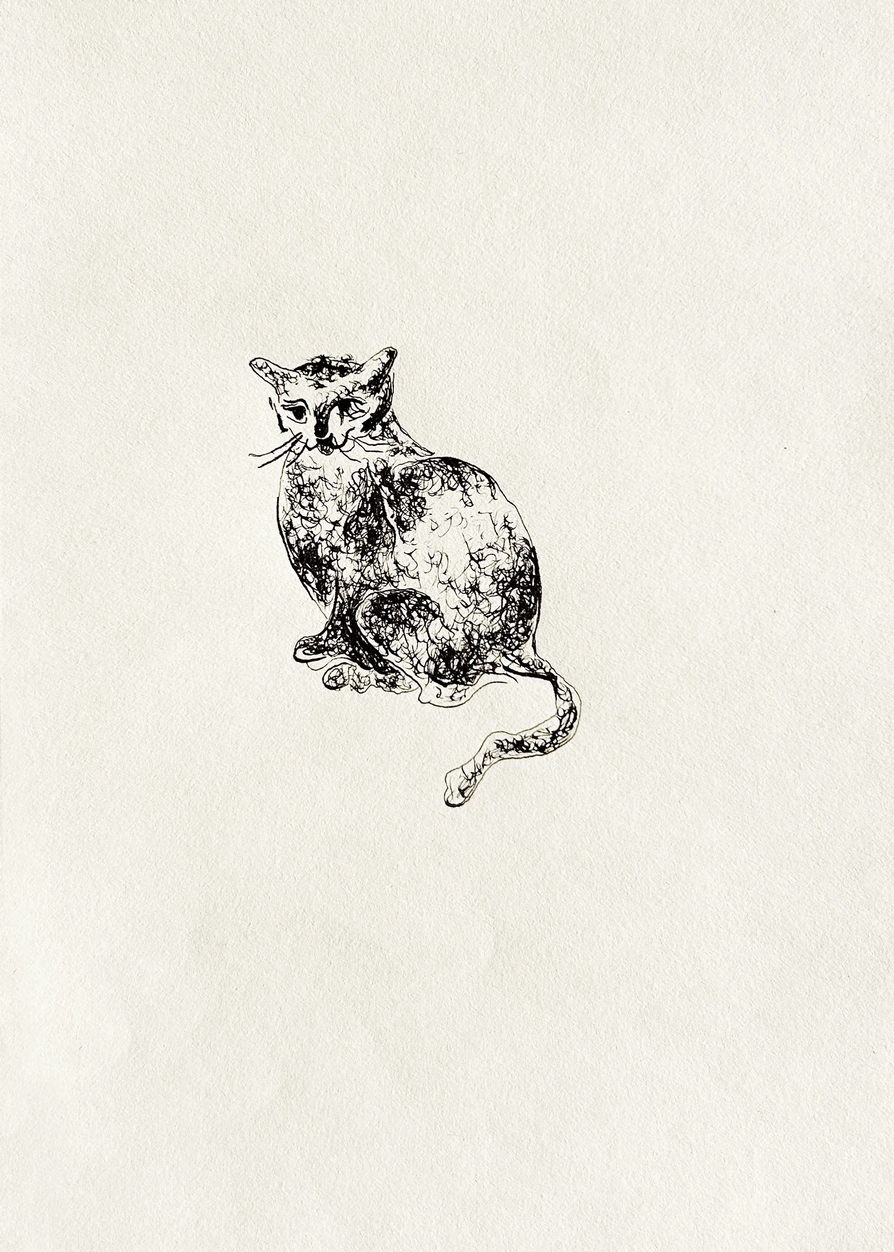  
 CAT 
 2025 
 Ink on paper 
 21 × 14.8 cm  |  8.3 × 5.8 in 
 Edition 
 