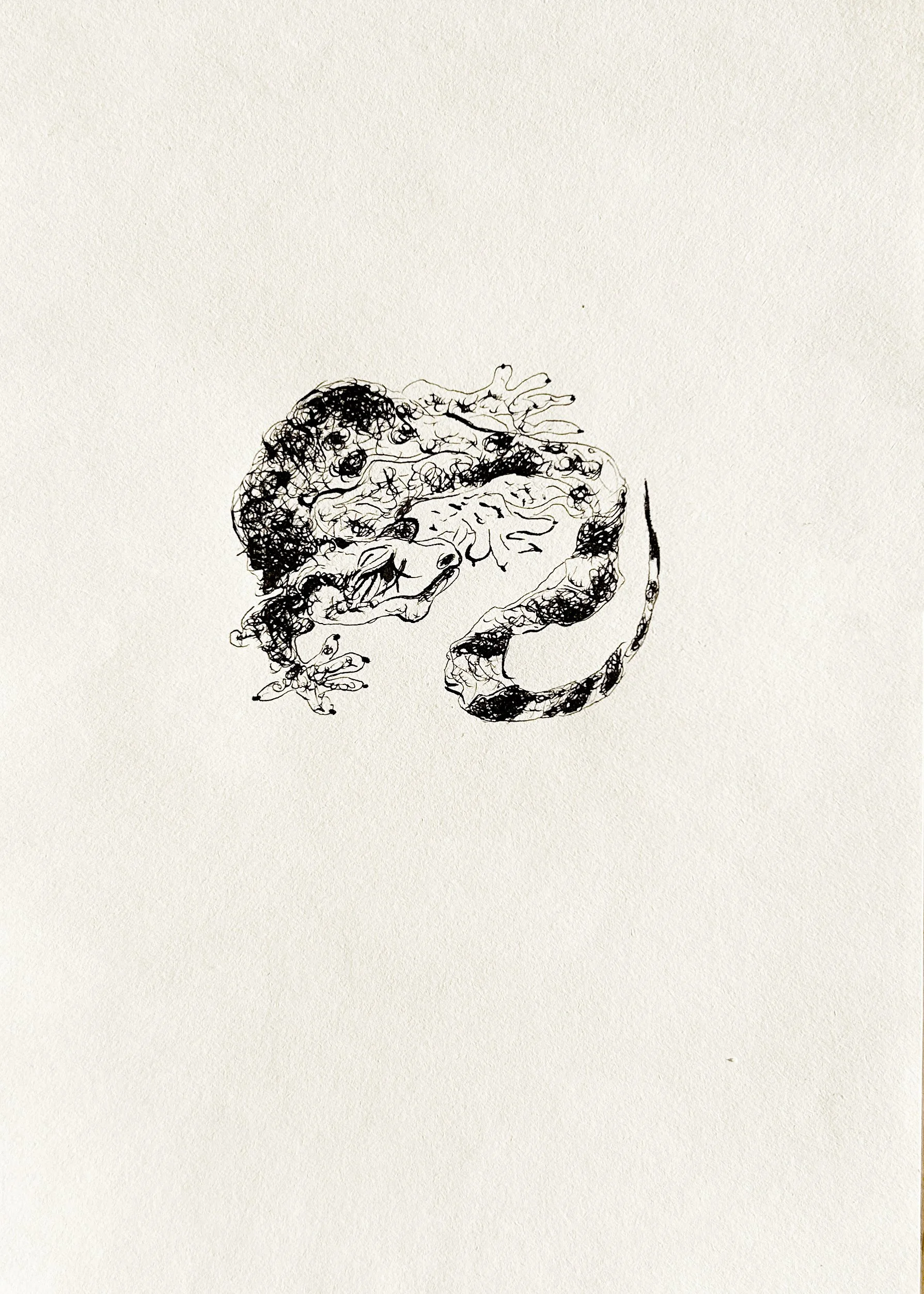  
 GECKO 
 2025 
 Ink on paper 
 21 × 14.8 cm  |  8.3 × 5.8 in 
 Edition 
 