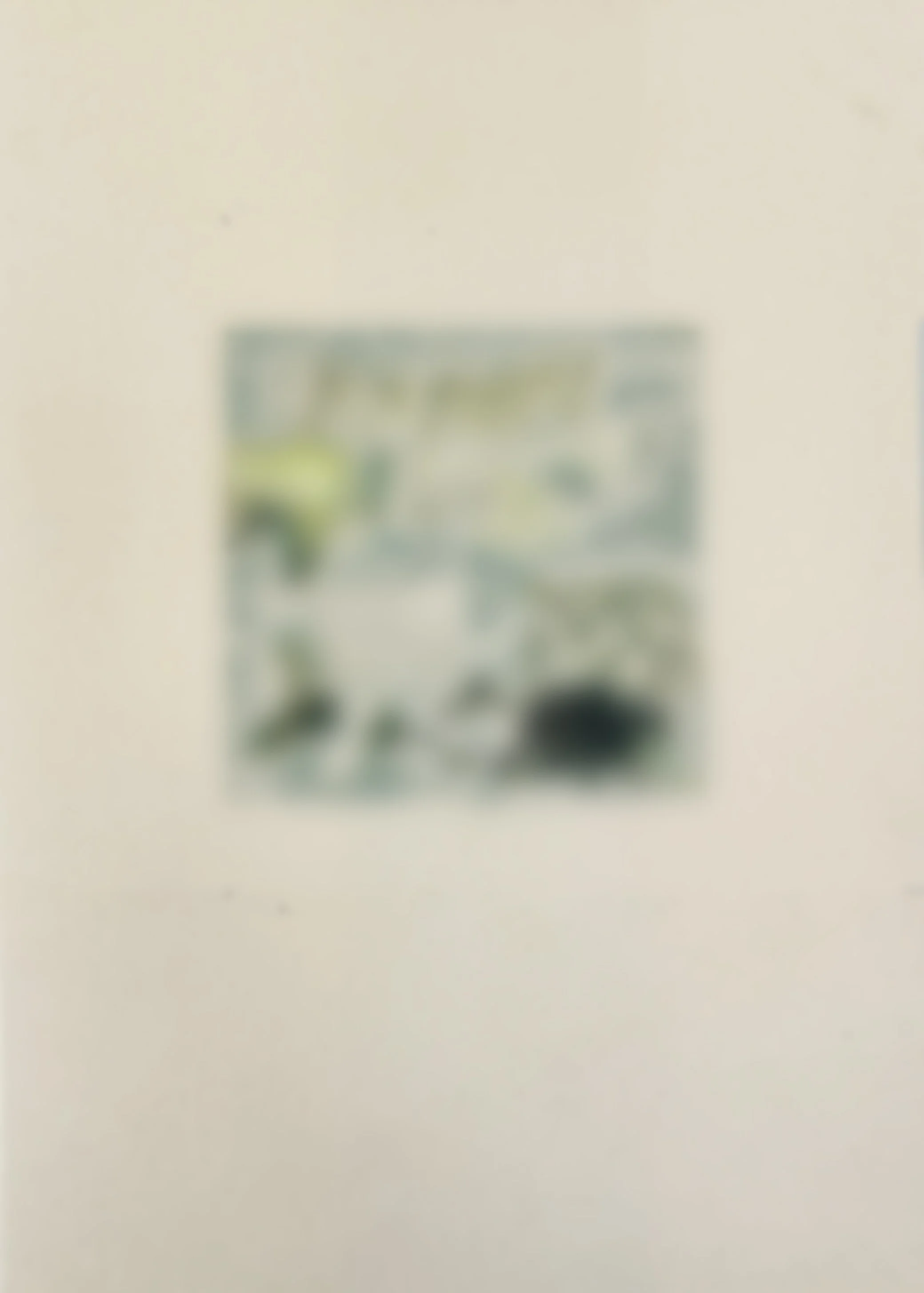  
 SHTETLE VI.6 
 SOON 
 2025 
 Monotype 
 Wax pastel on paper 
 21 × 14.8 cm  |  8.3 × 5.8 in 
 Edition 
 		