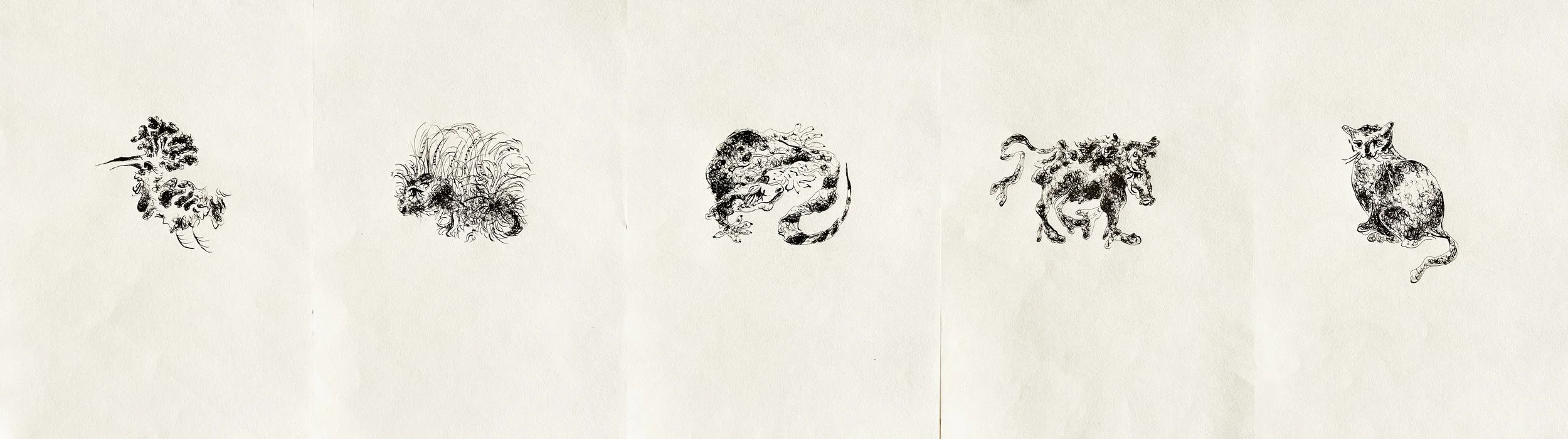 Haifa Bestiary ink drawing series by Keila Moizhesh