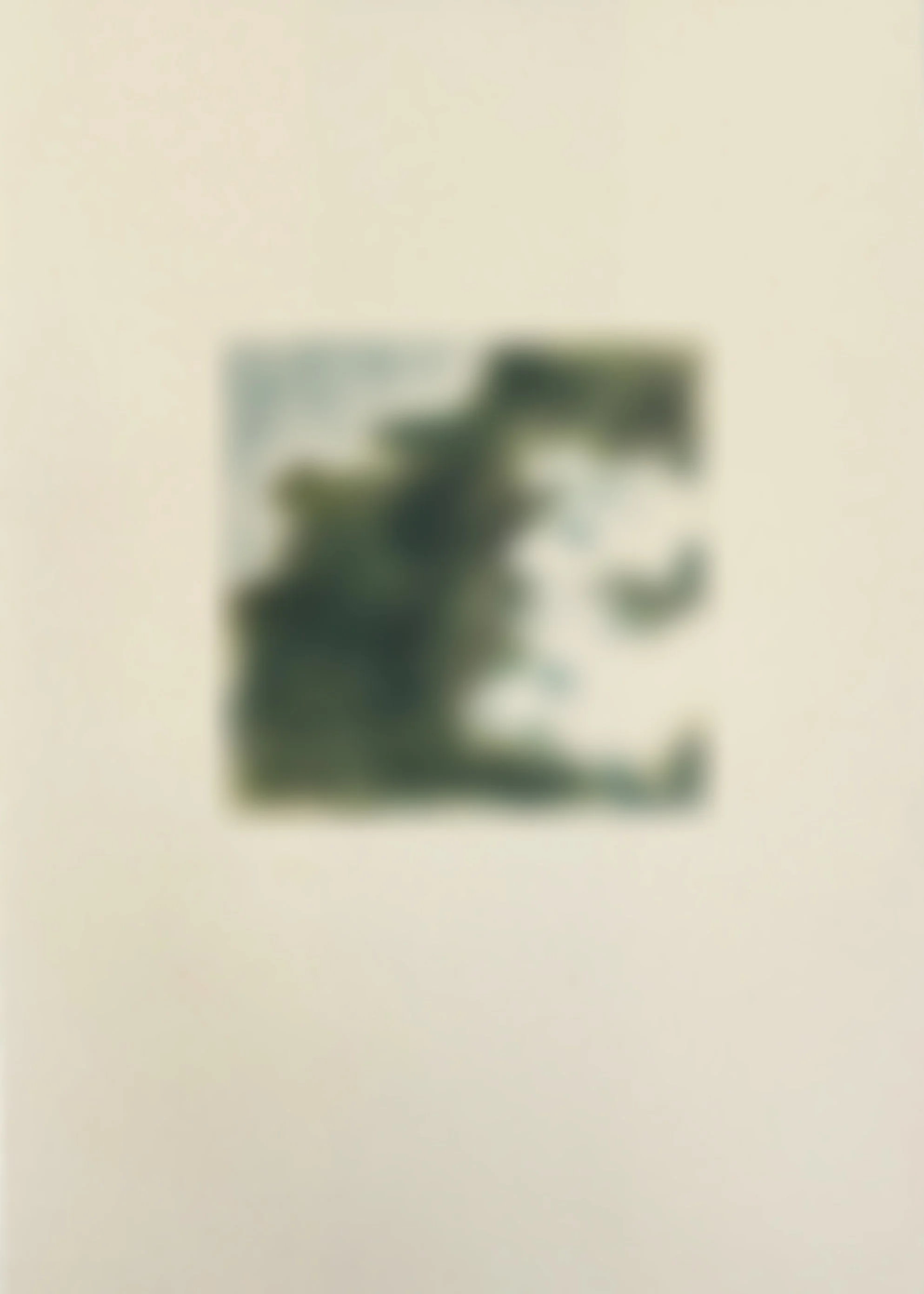  
 SHTETLE VI.5 
 SOON 
 2025 
 Monotype 
 Wax pastel on paper 
 21 × 14.8 cm  |  8.3 × 5.8 in 
 Edition 
 		