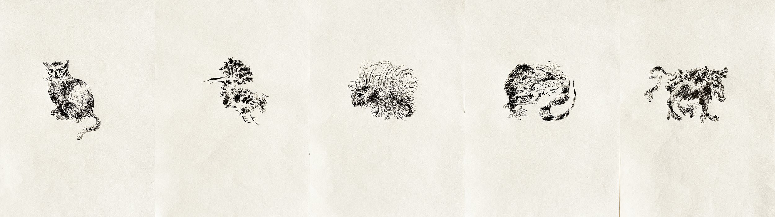 Haifa Bestiary ink drawing series by Keila Moizhesh