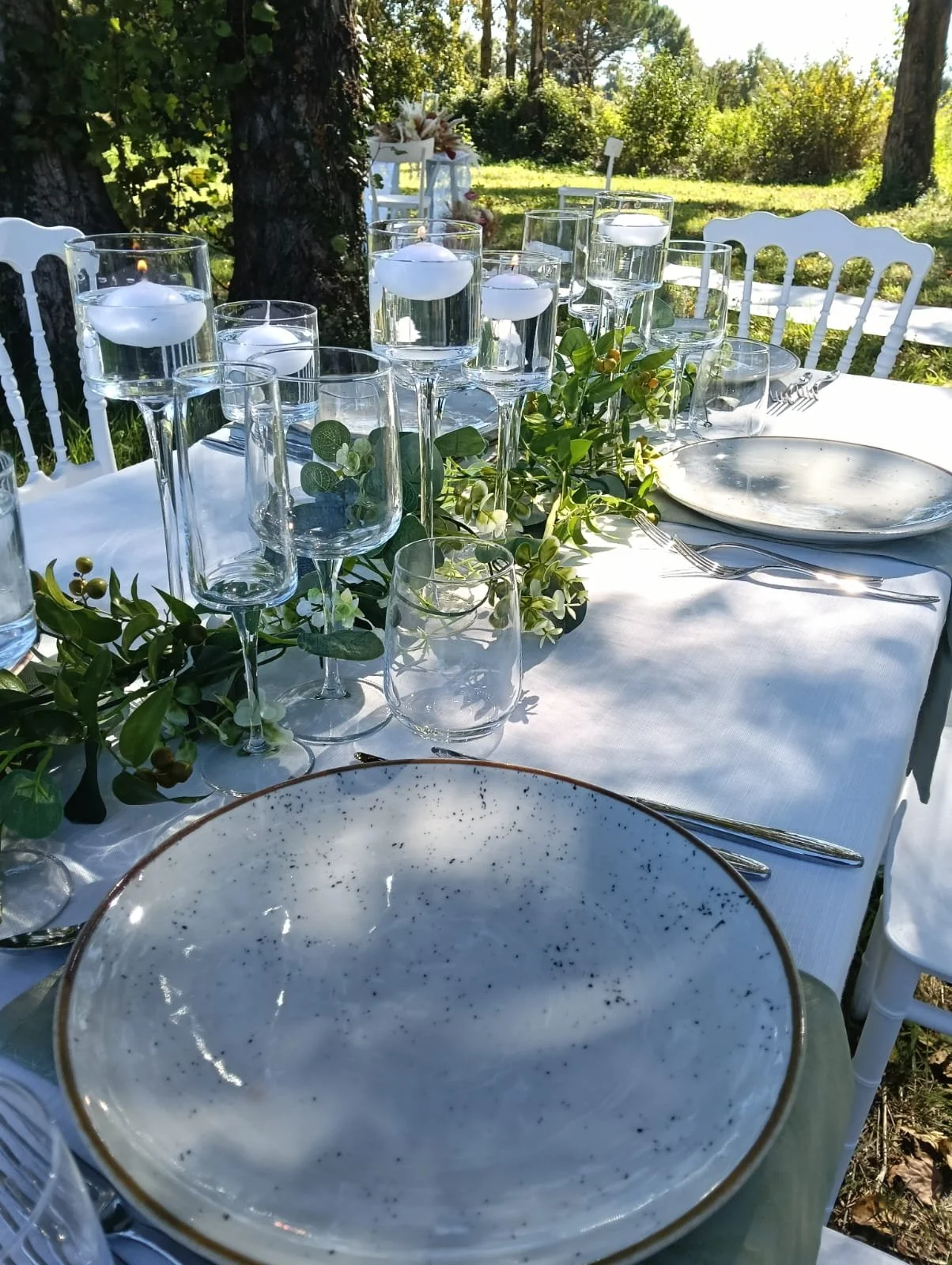 WhatsApp Image 2026-01-16 at 18.55.18.jpeg