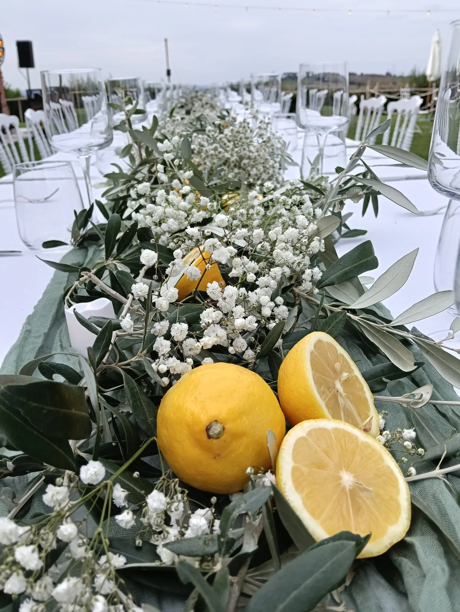 WhatsApp Image 5.jpeg