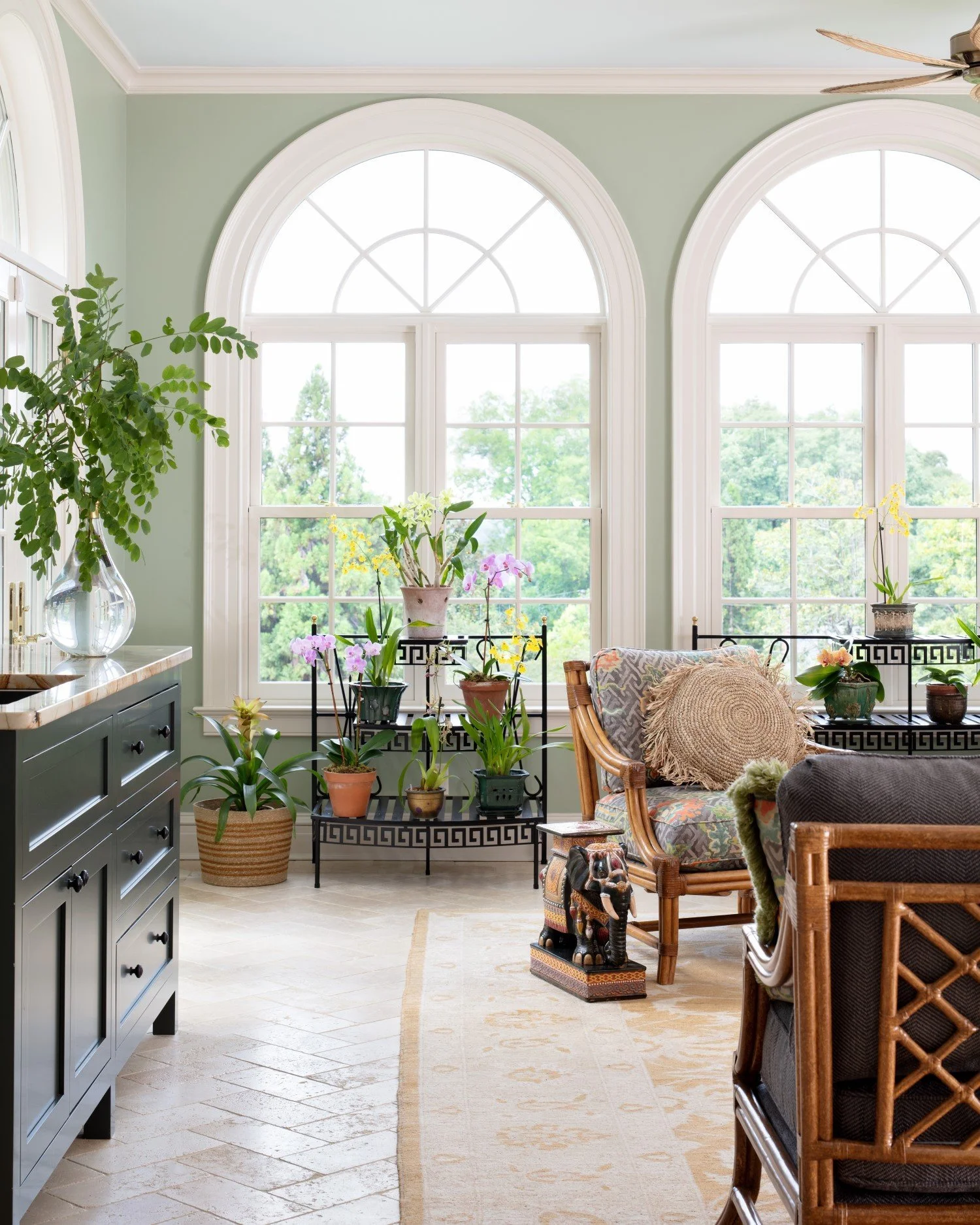 Bright sunlit room with tall arched windows, potted plants on black metal shelves and a beige rug, green walls, and wooden furniture.