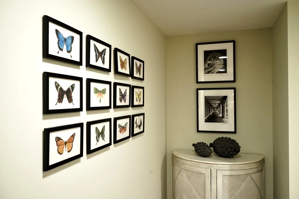 A corner of a room with framed butterfly illustrations on the wall and black-and-white photographs of architectural scenes. There is a light-colored curved cabinet with three black decorative objects on top.