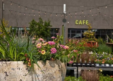 Bridget Beari Travels to Westport CT