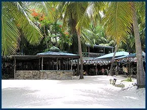 JVD_Foxys_BVI_Beach_Bar.jpg