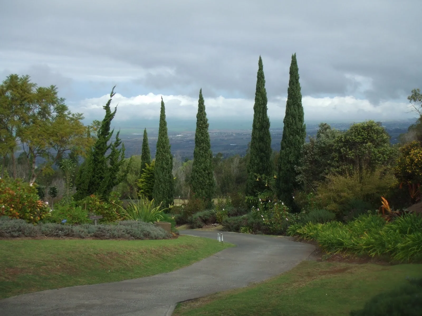 Bridget Beari Travels to Maui Alii Kula Lavender and Organic O'o Farm