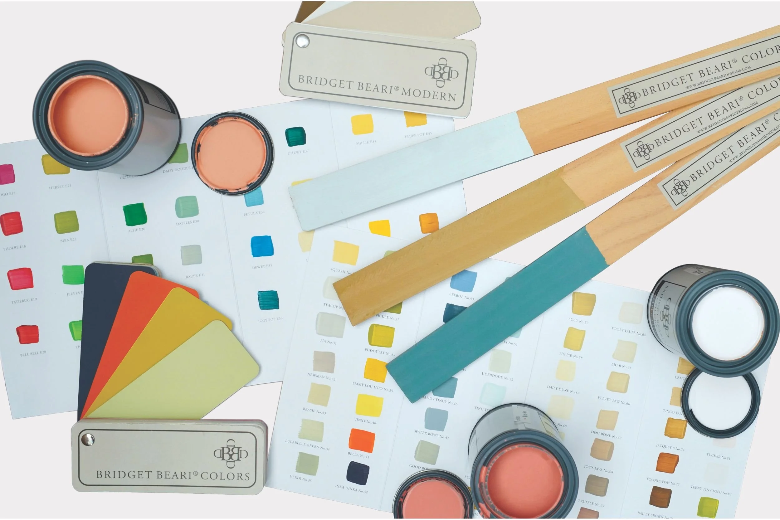  The Story Behind the Bridget Beari Color Rules Book