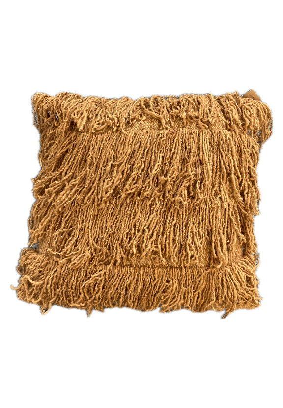 BOHEMIAN FRINGED THROW PILLOW