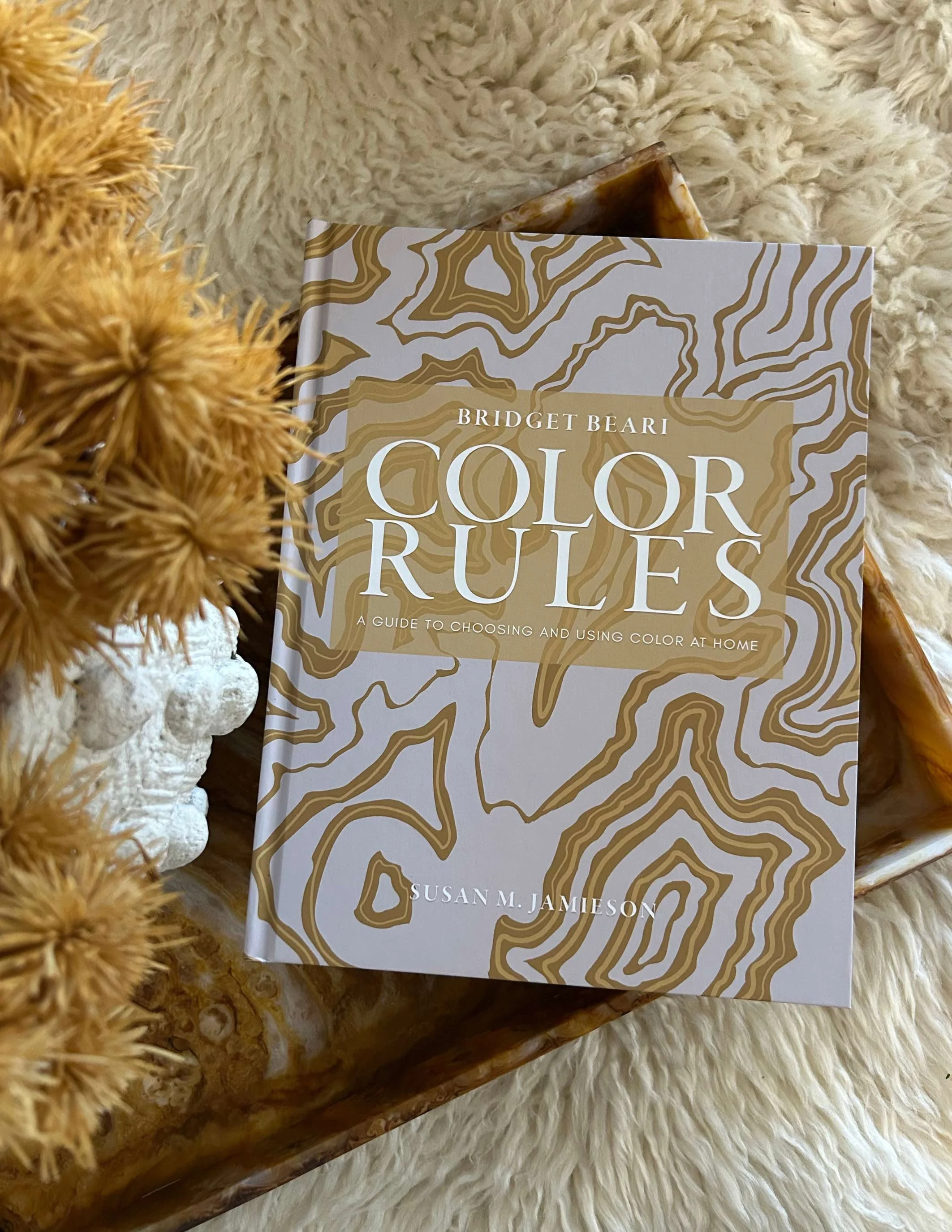 Book titled 'Color Rules' by Susan M. Jamieson on a fluffy beige surface, with dried yellow flowers partially visible on the left.