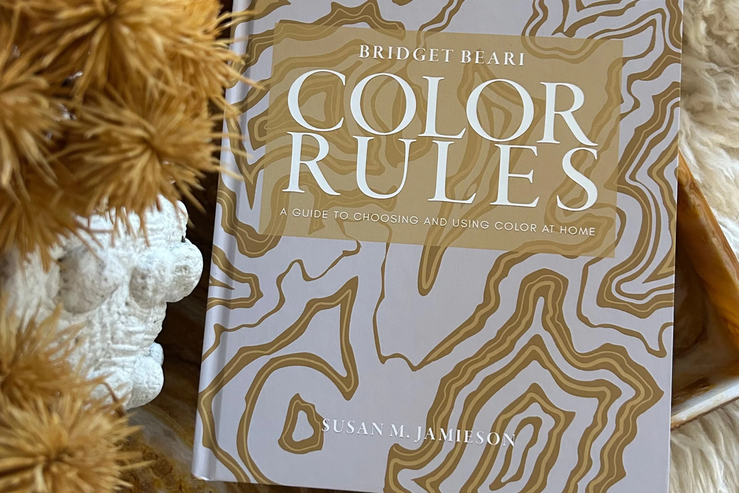 Book titled 'Color Rules: A Guide to Choosing and Using Color at Home' by Susan M. Jamieson. The cover features a beige and white abstract topographic map design with soft, earthy tones surrounding the book. There are textured objects, possibly decorative elements, around the book.