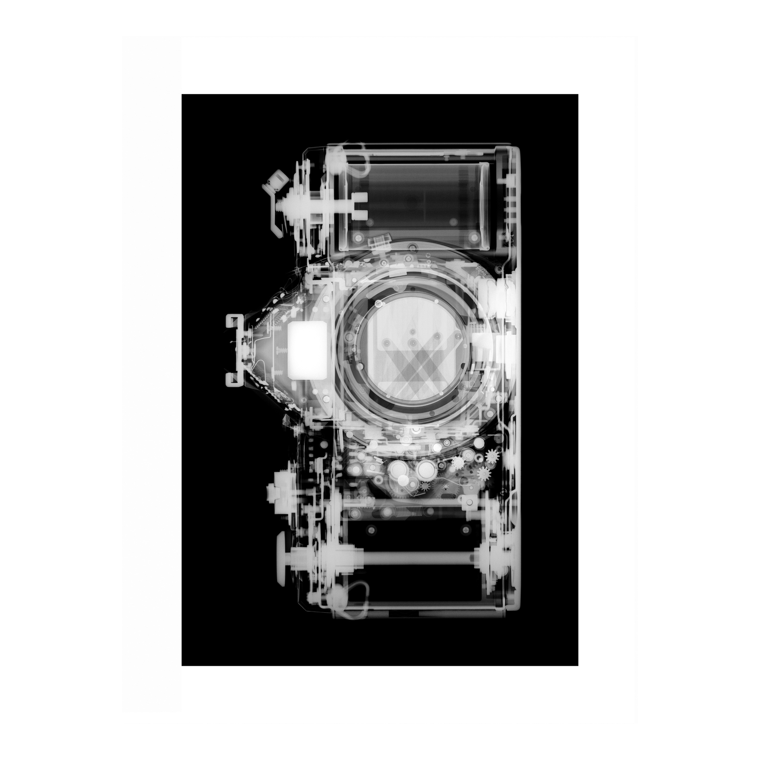 camera SLR 16 x12.png